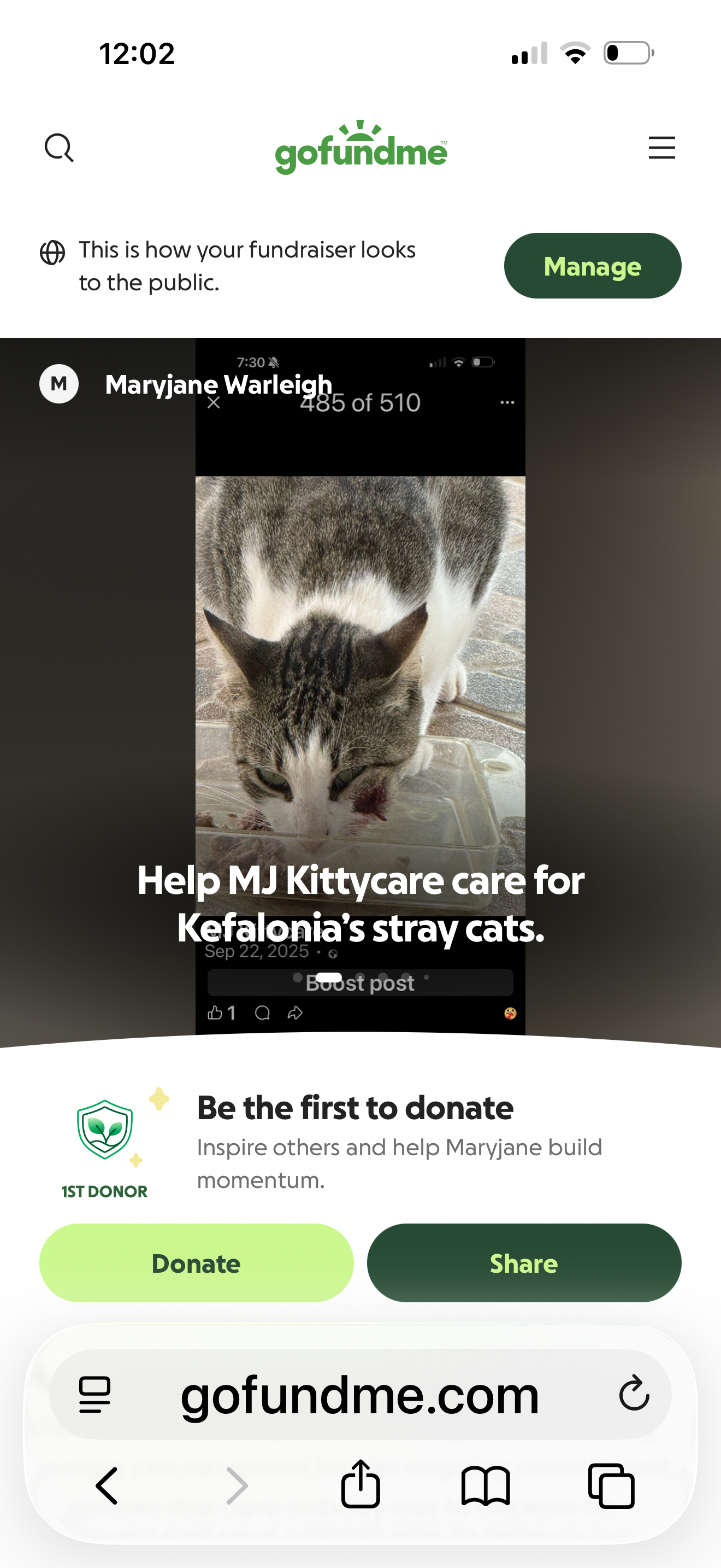 Help MJ Kittycare care for Kefalonia’s stray cats. campaign photo, 6 of 8