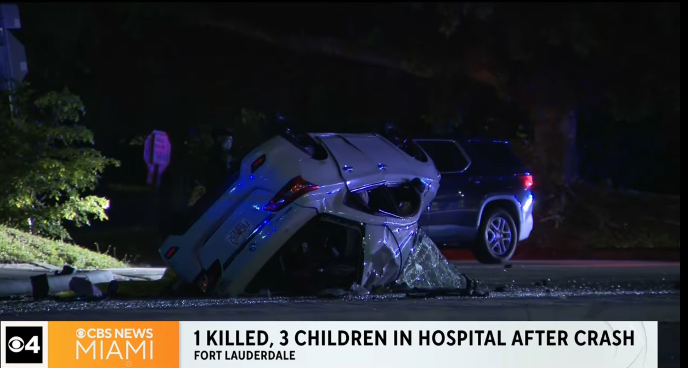 Saving the babies after fatal crash campaign photo, 2 of 8