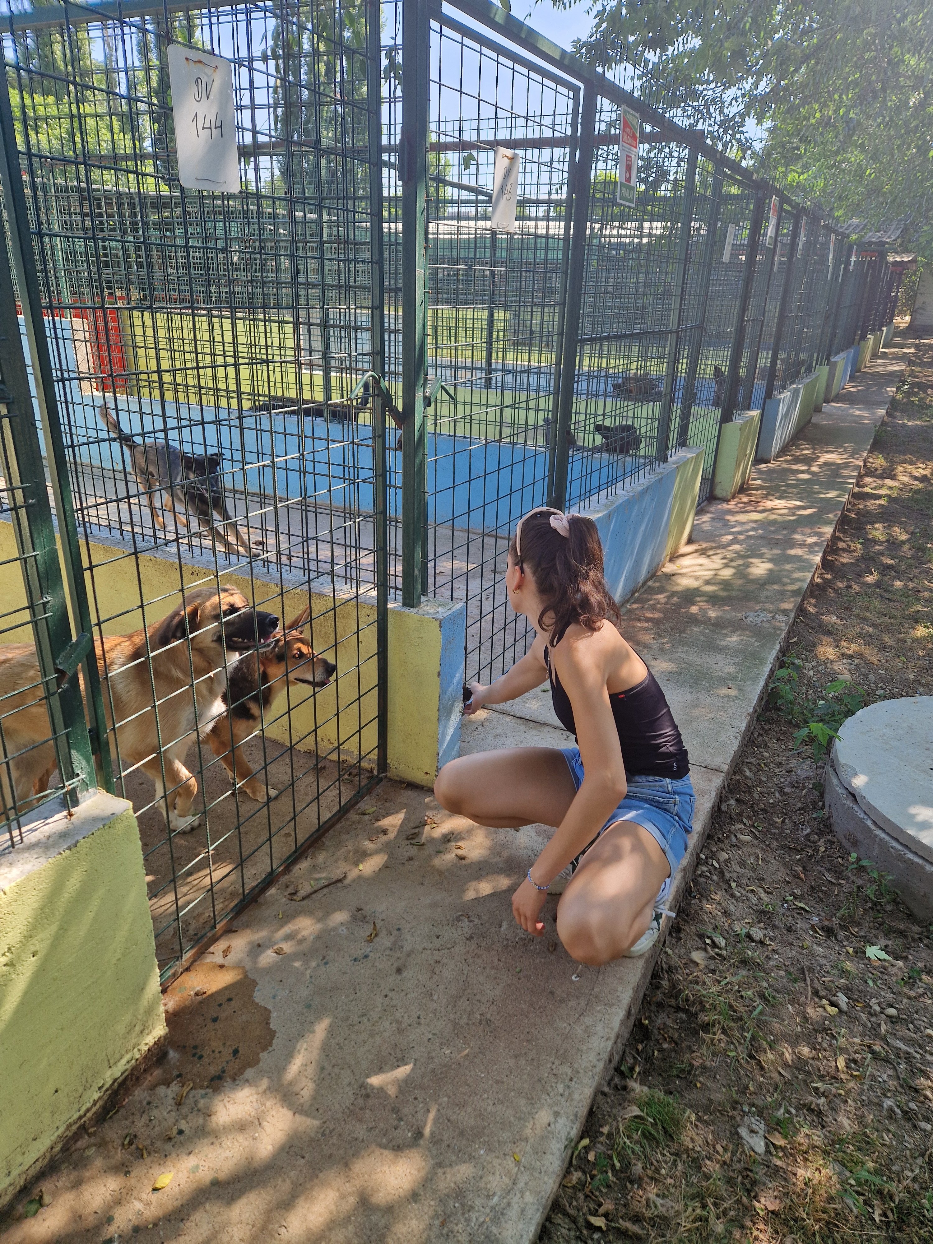600 Hunde brauchen uns – Prijatelji kämpft ums Überleben campaign photo, 5 of 8