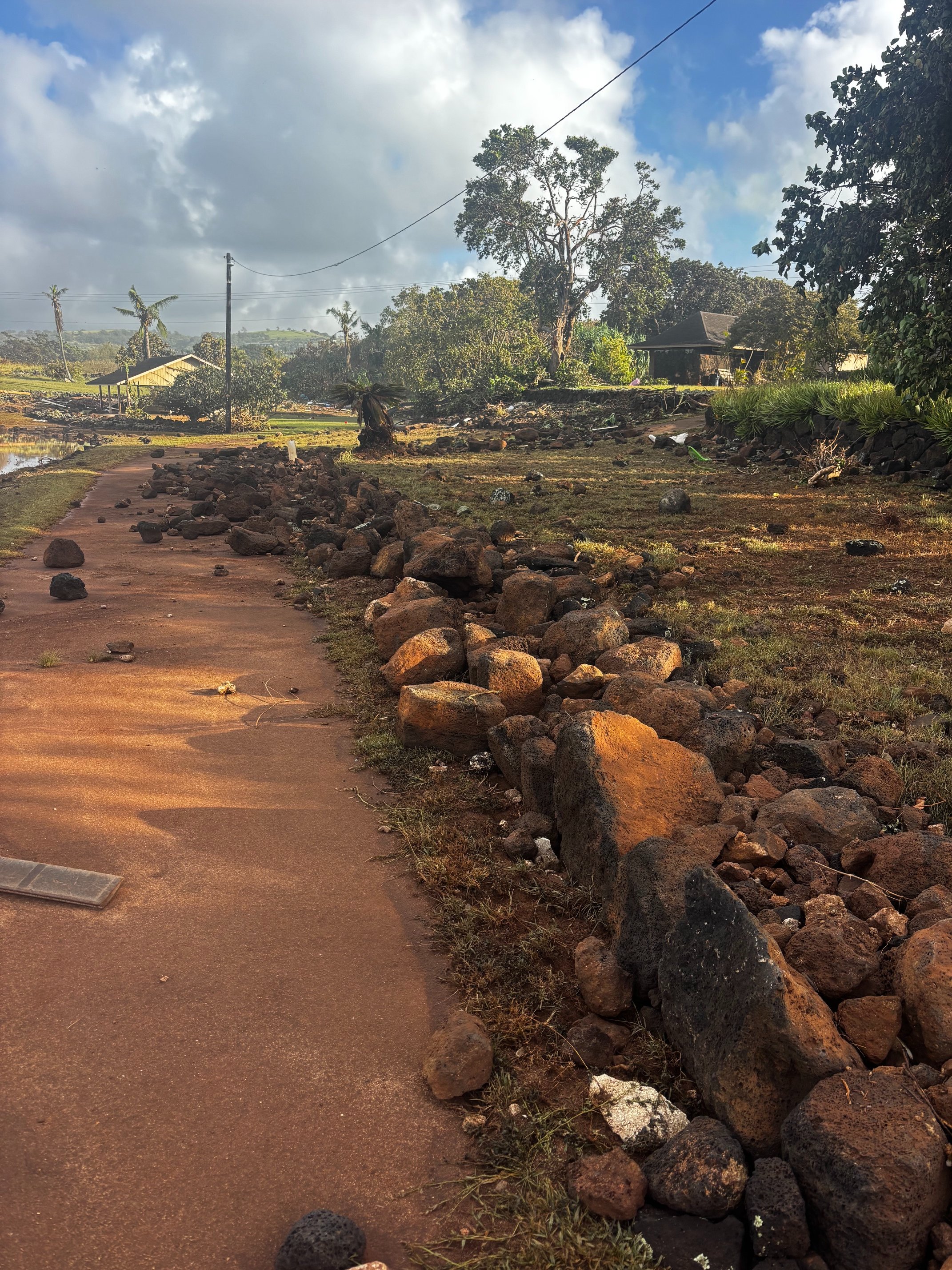 Restore Prince Kūhiō Park After Hurricane Lowell campaign photo, 7 of 8