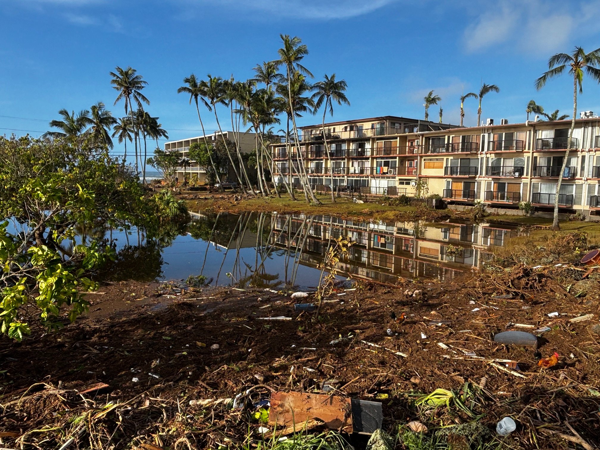 Restore Prince Kūhiō Park After Hurricane Lowell campaign photo, 4 of 8