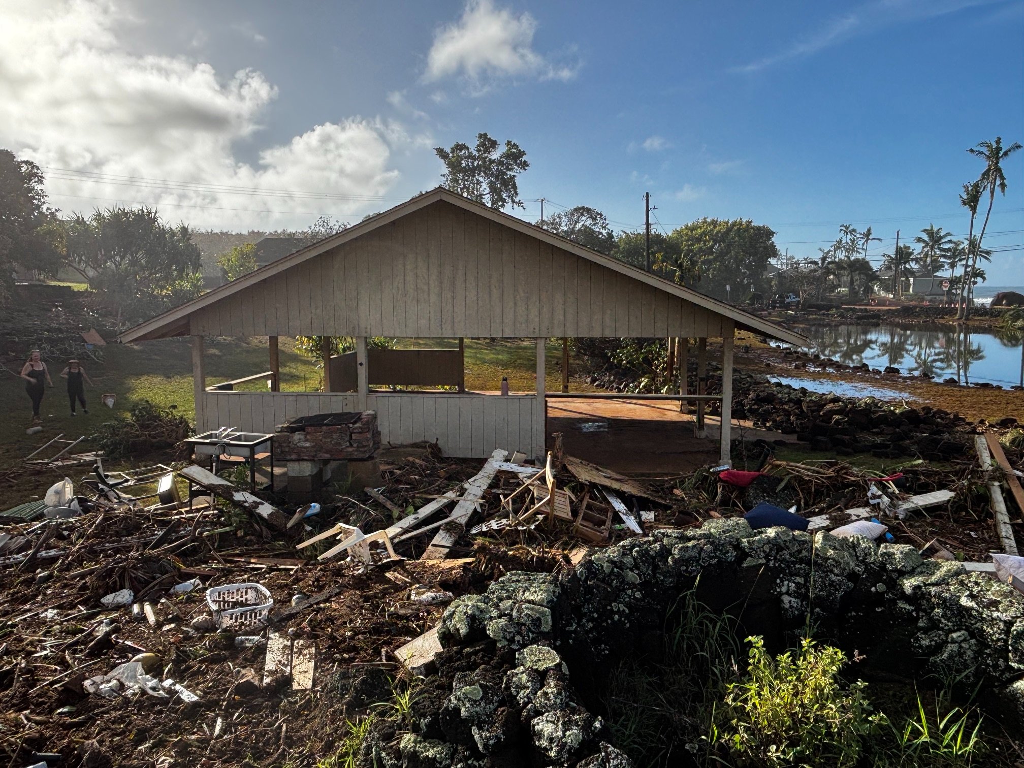Restore Prince Kūhiō Park After Hurricane Lowell campaign photo, 5 of 8