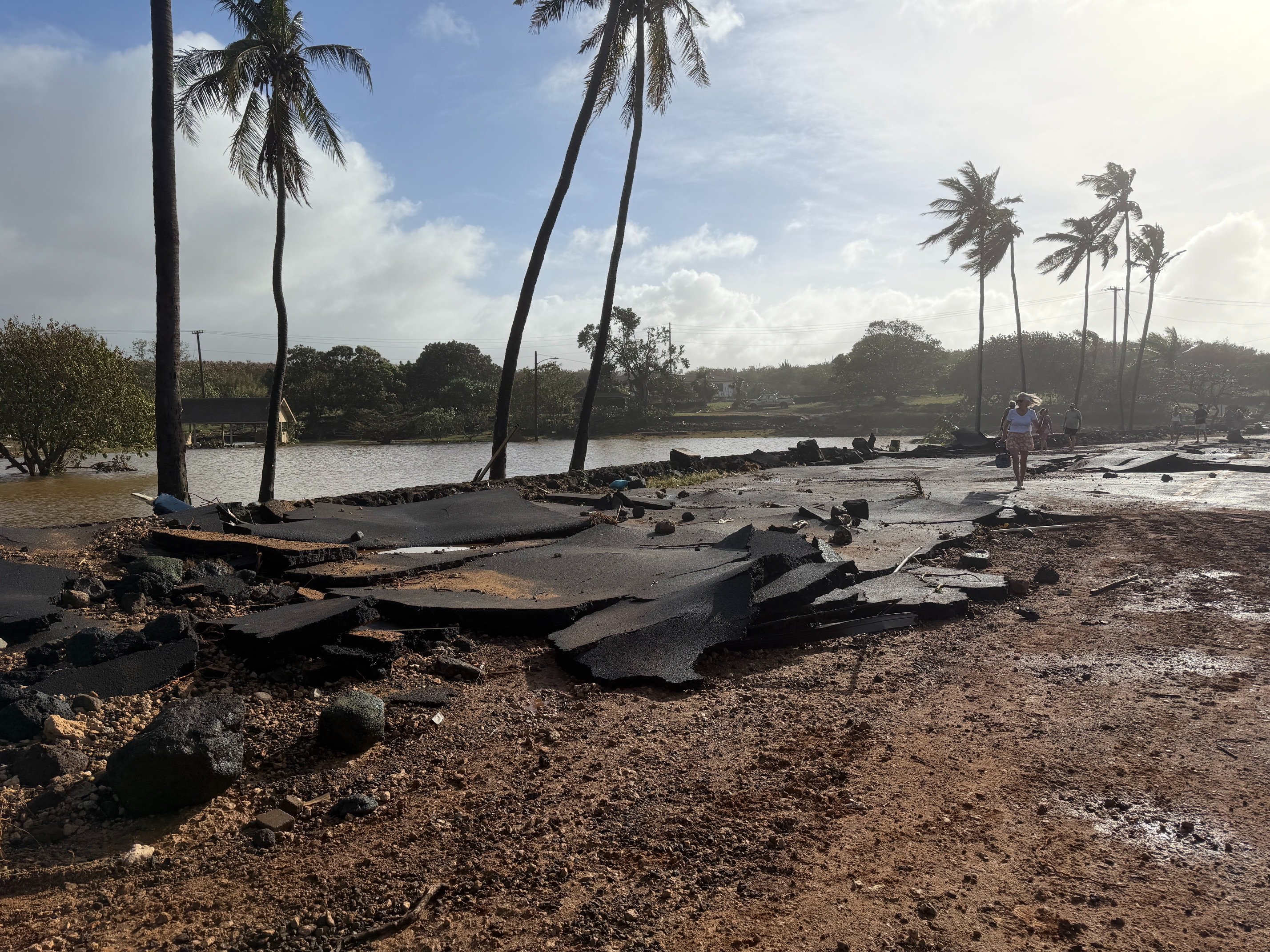 Restore Prince Kūhiō Park After Hurricane Lowell campaign photo, 6 of 8