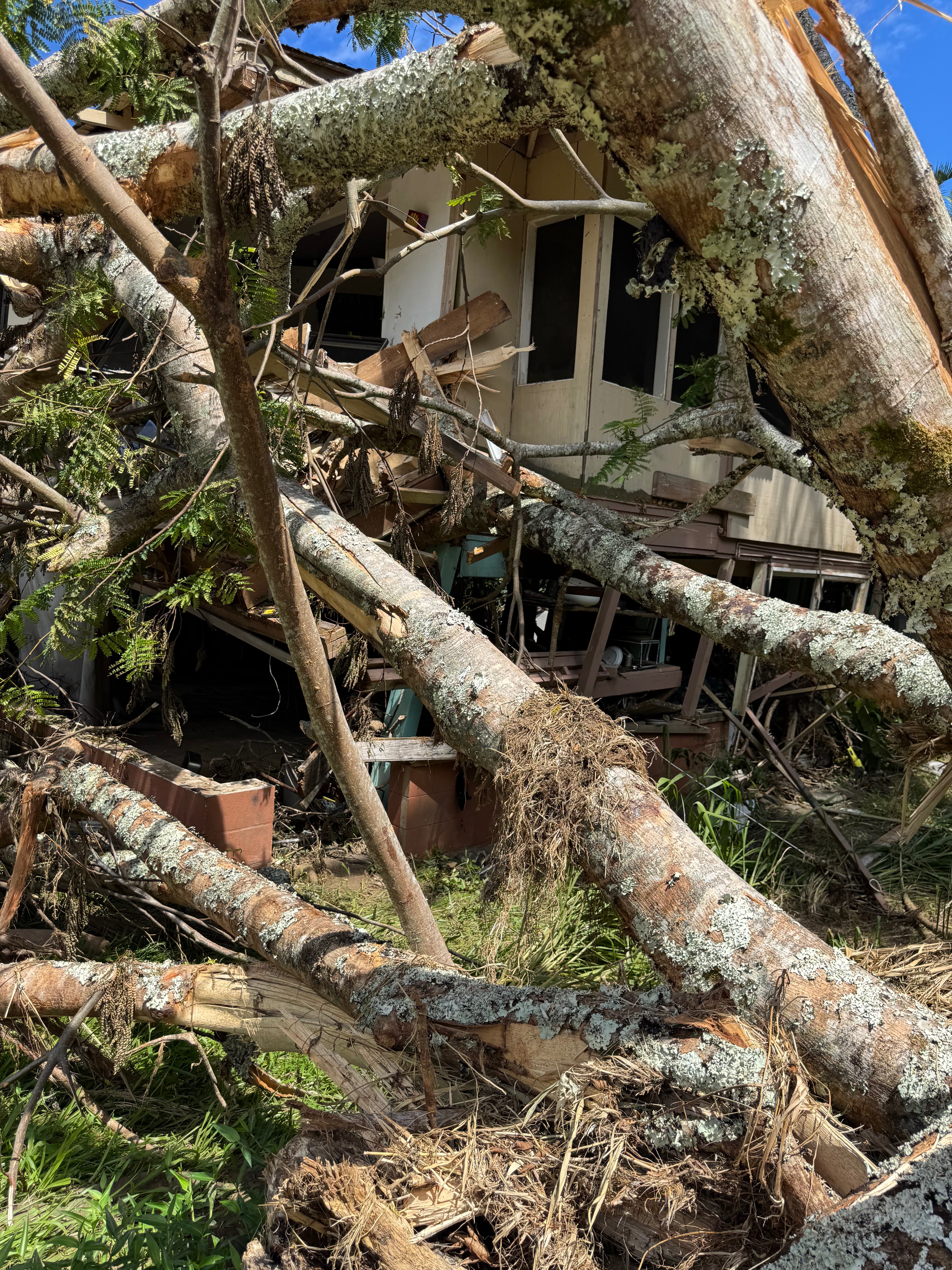 Helping Papa Moku and Nancy Chandler after Hurricane Lowell campaign photo, 6 of 7