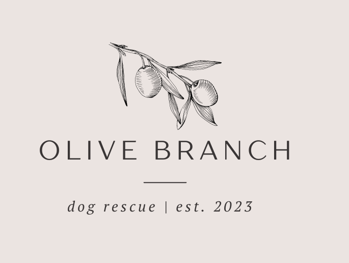 Birthday Wish: Support Olive Branch Dog Rescue campaign photo, 6 of 7