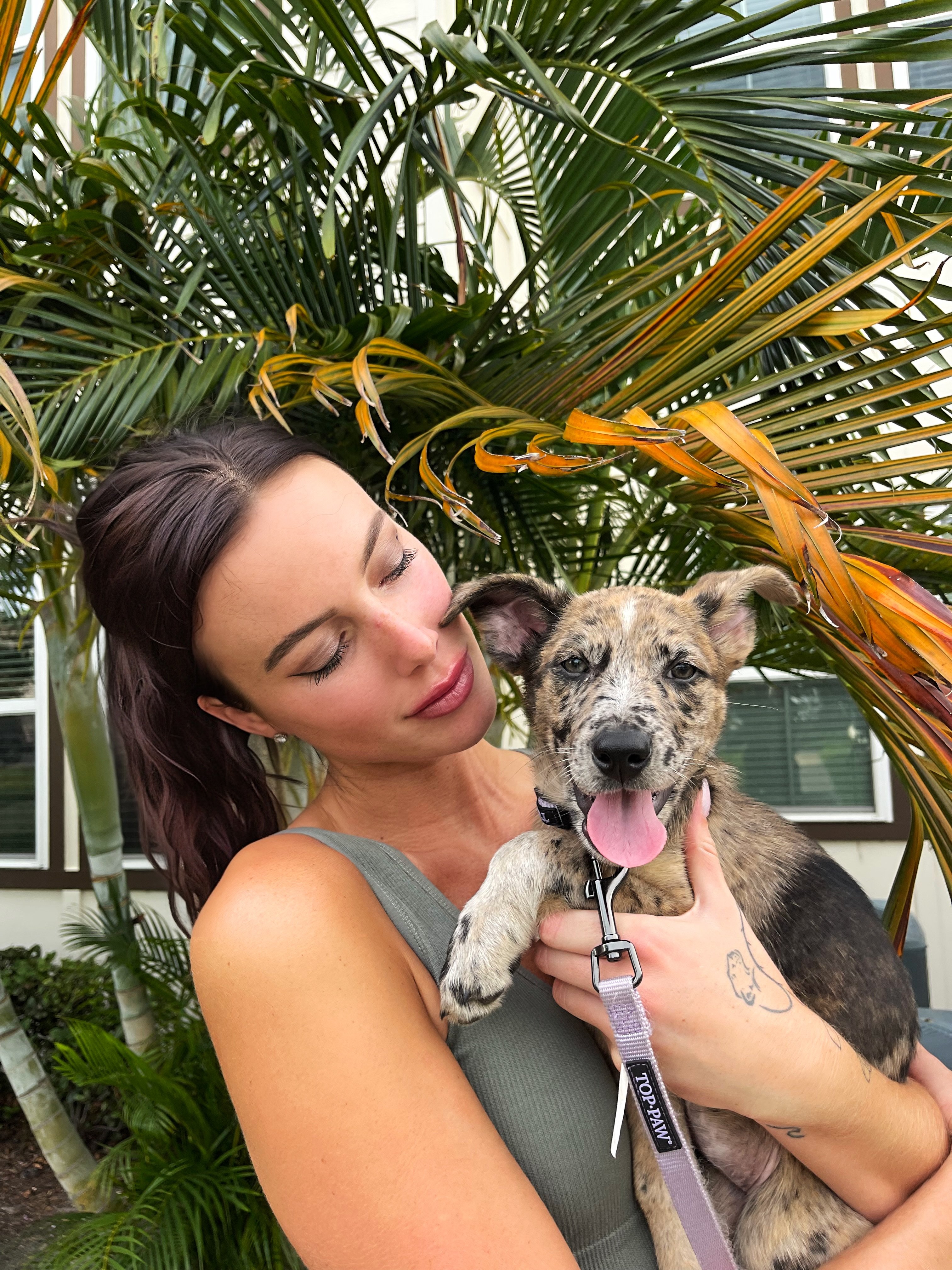 Birthday Wish: Support Olive Branch Dog Rescue campaign photo, 5 of 7