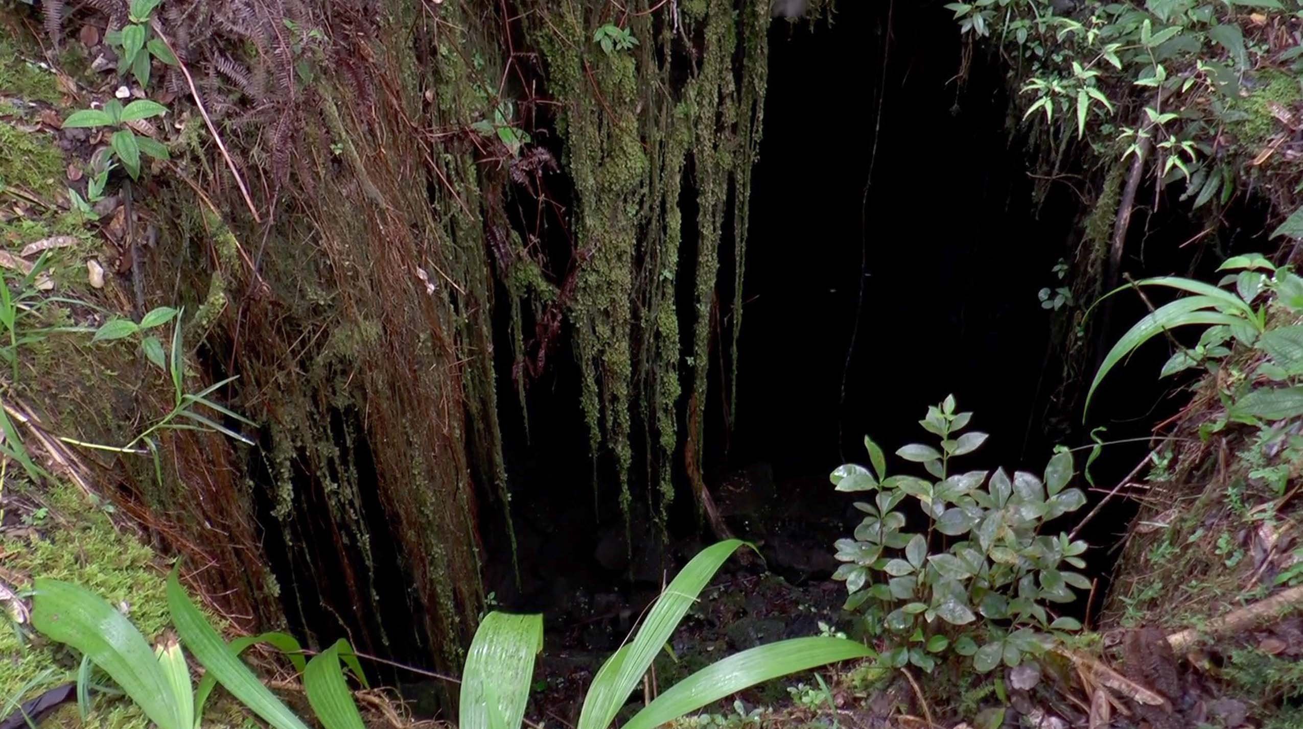 Creating a Sacred Hawaiian Burial Ground in Hawaii campaign photo, 6 of 8