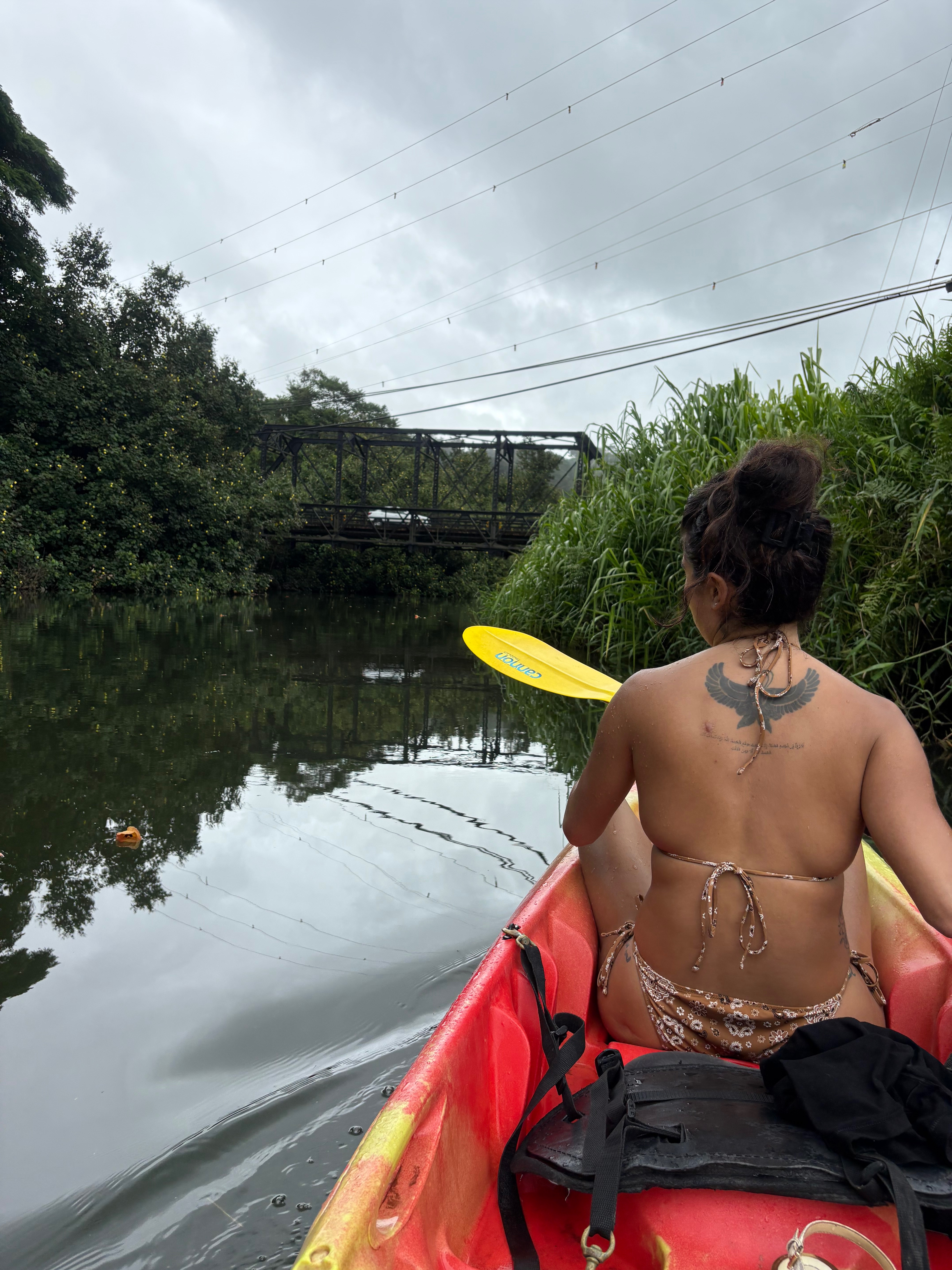 Asking for Help So I Can Keep Supporting My Kauaʻi Community campaign photo, 7 of 8
