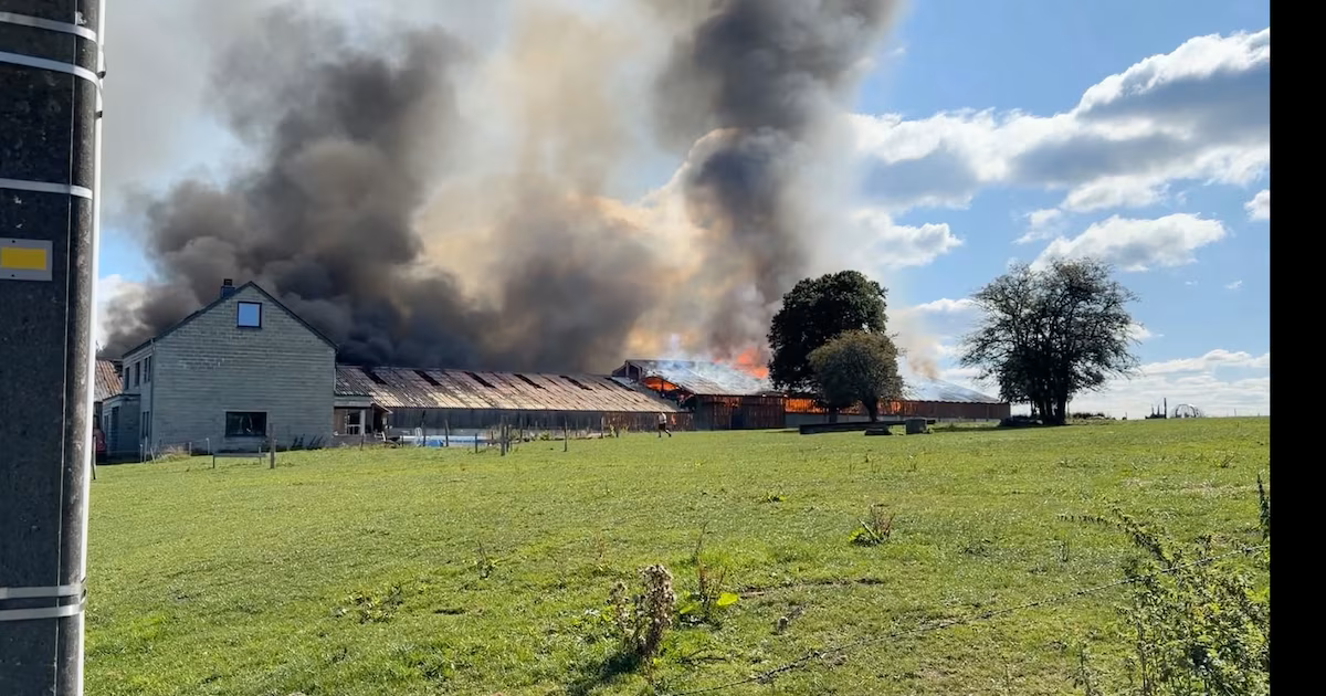 Aidons la ferme Lockman à se relever après l'incendie campaign photo, 2 of 7