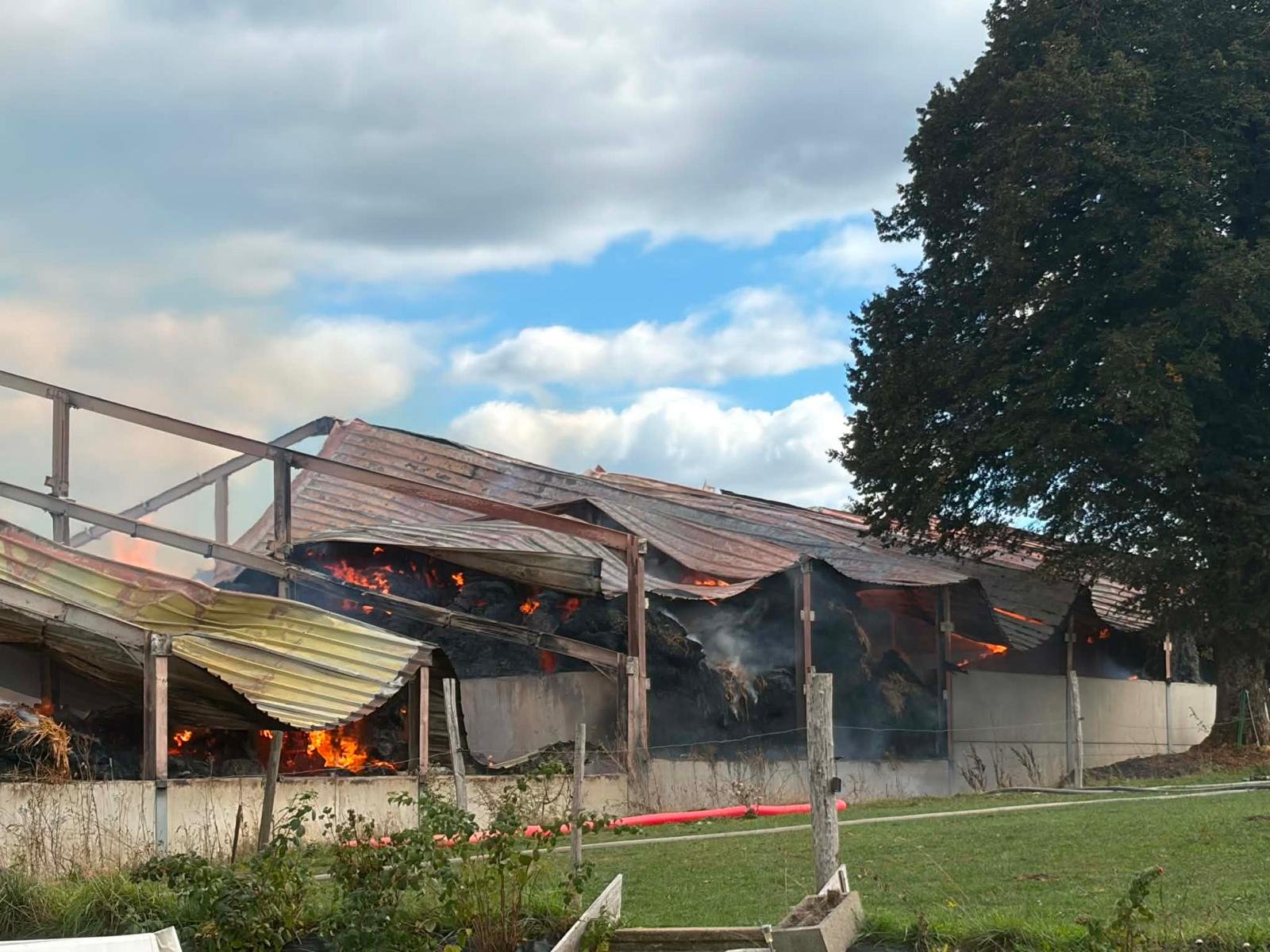 Aidons la ferme Lockman à se relever après l'incendie campaign photo, 4 of 7