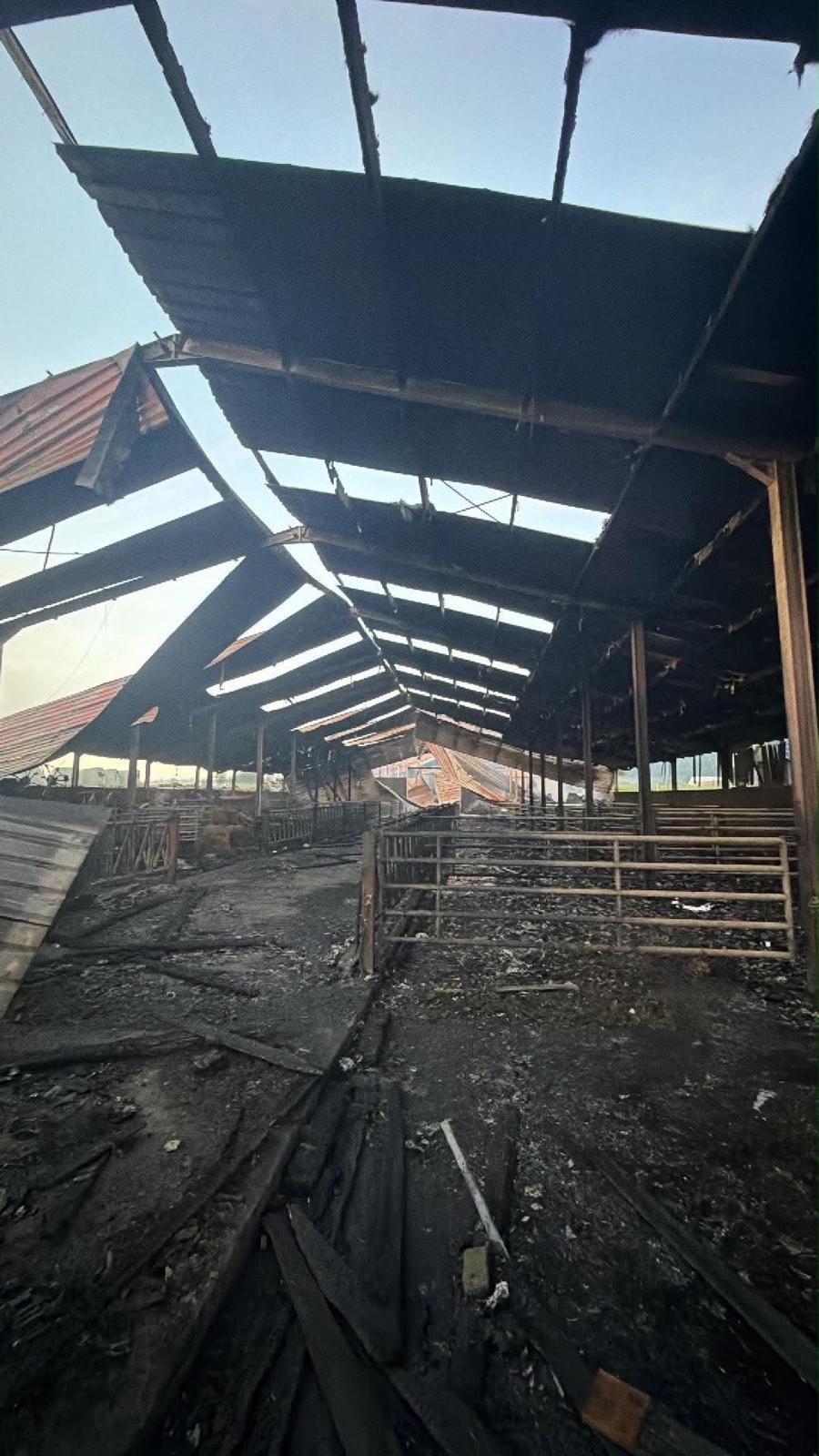 Aidons la ferme Lockman à se relever après l'incendie campaign photo, 5 of 7