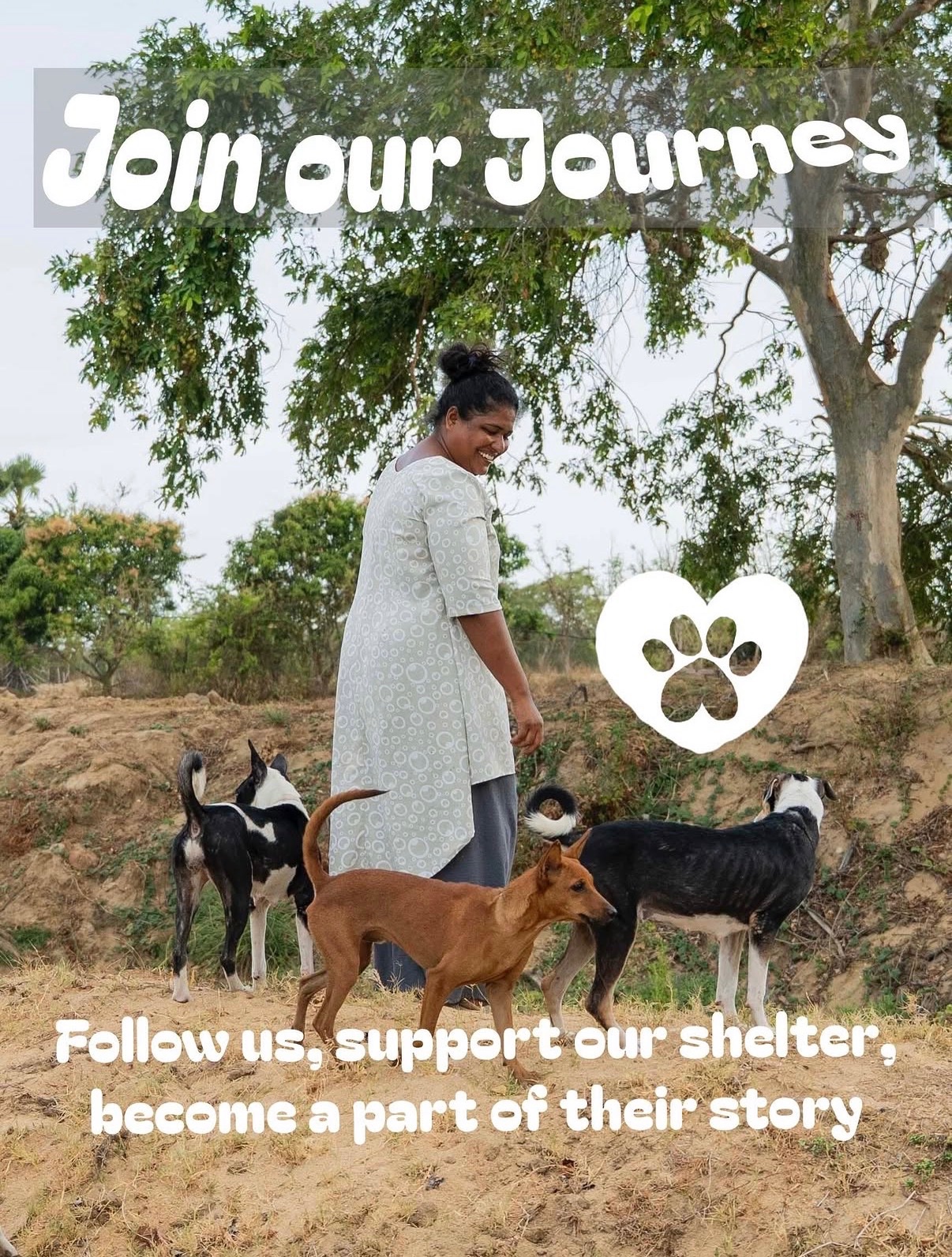 Een veilige plek voor zwerfdieren in Sri Lanka campaign photo, 2 of 7