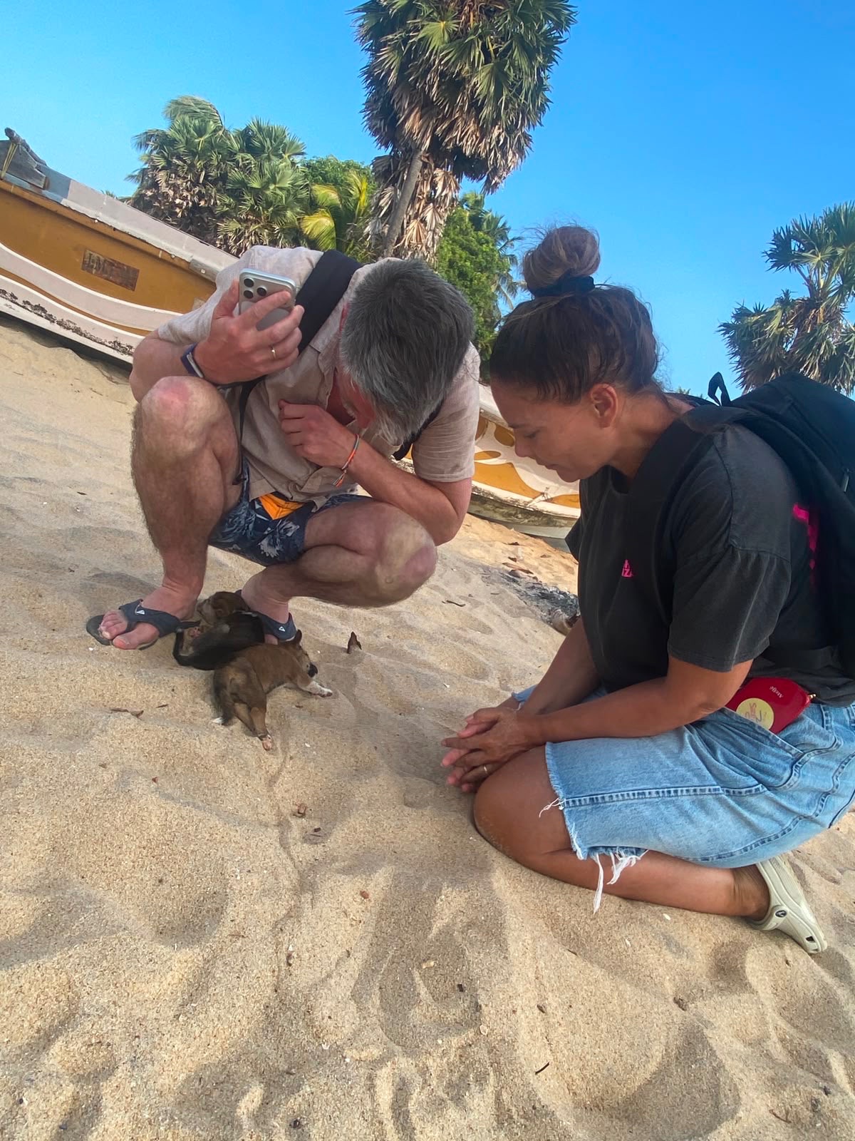 Een veilige plek voor zwerfdieren in Sri Lanka campaign photo, 6 of 7