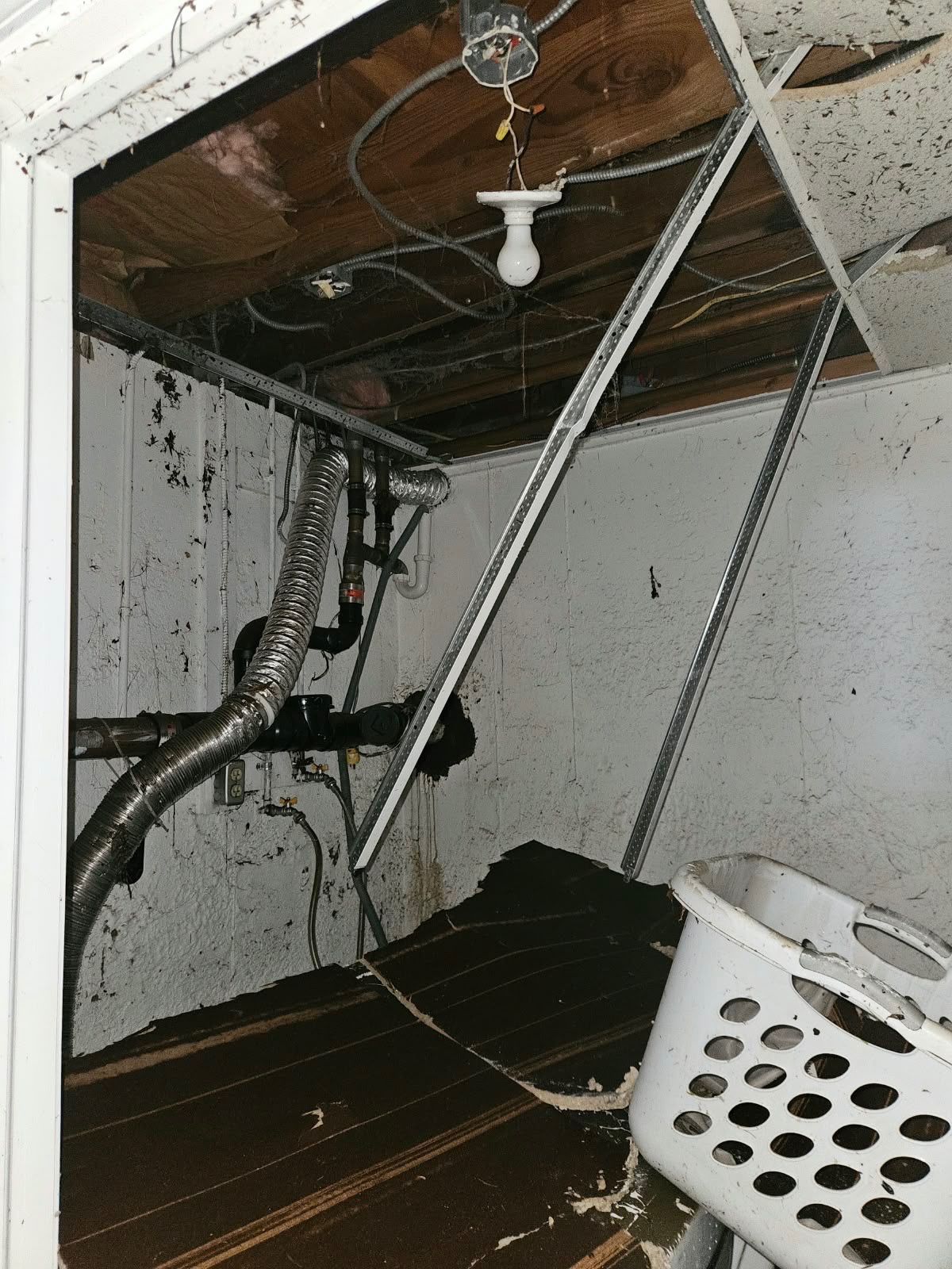 Help Emanuela Recover From Flooding campaign photo, 4 of 8