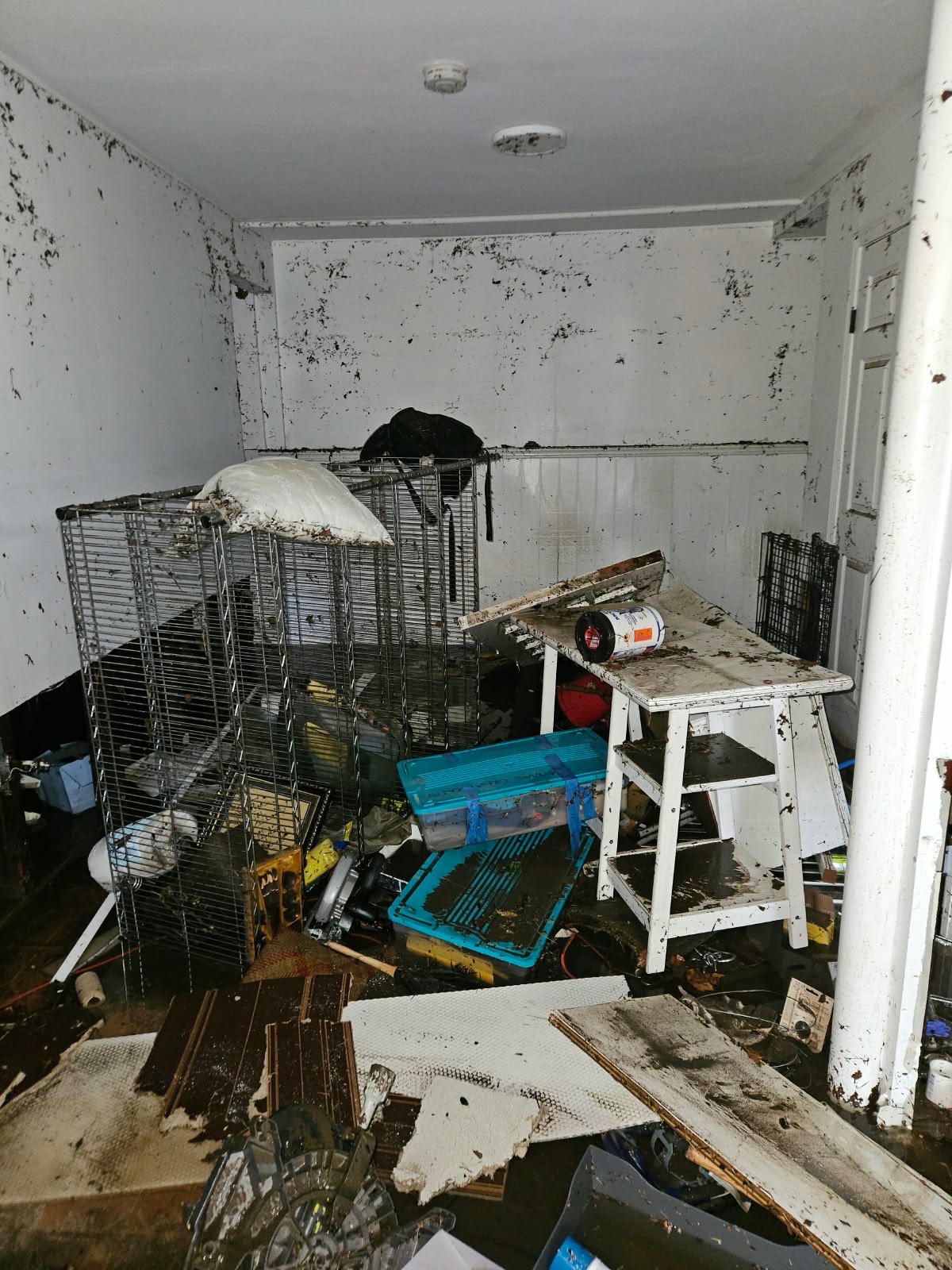 Help Emanuela Recover From Flooding campaign photo, 6 of 8