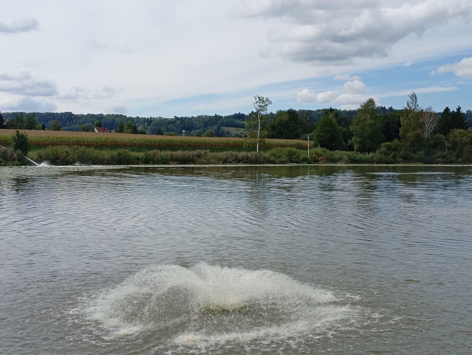 Fischsterben - Helft uns, den Lengenweiler See zu erhalten! campaign photo, 6 of 7