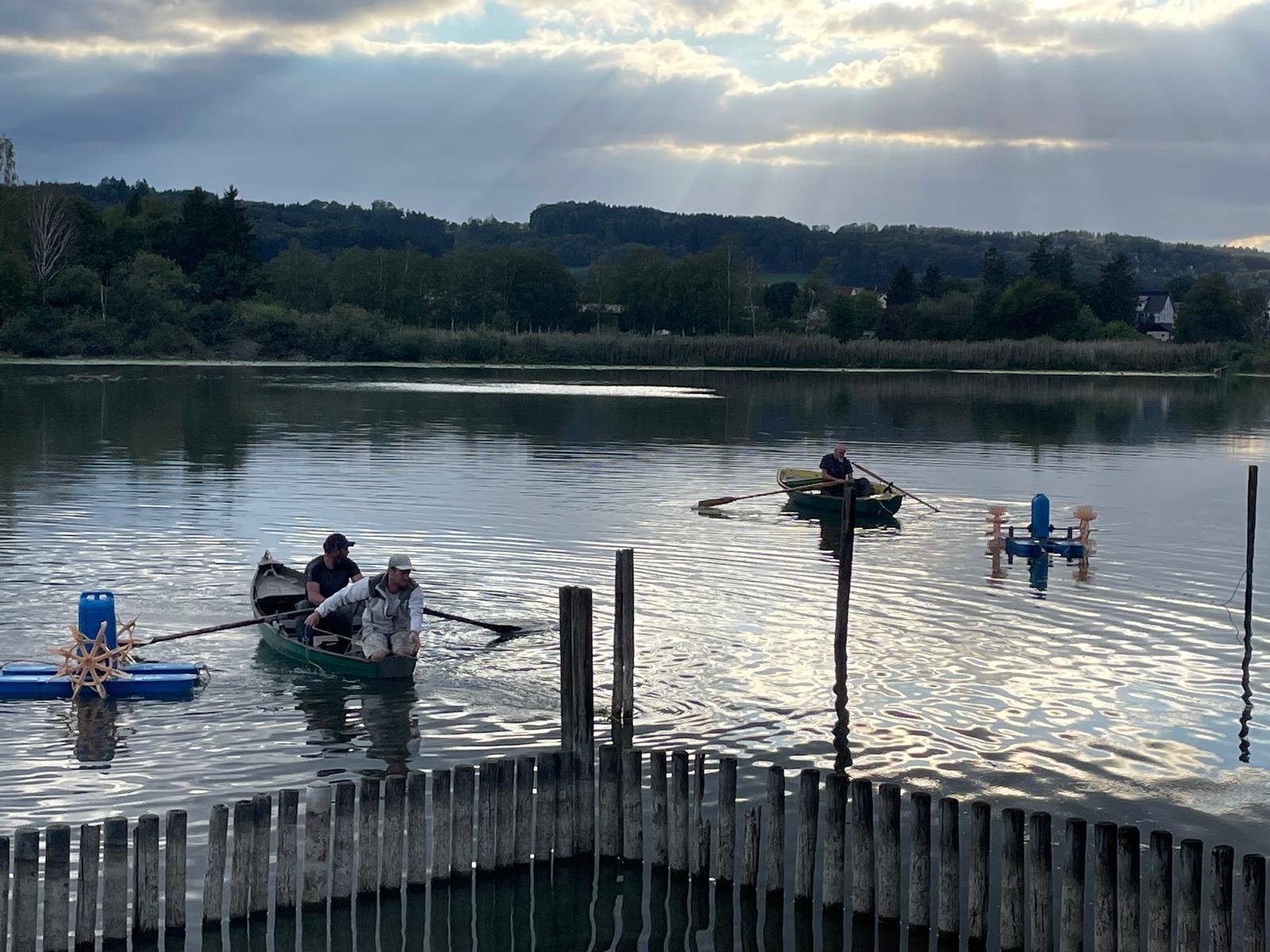 Fischsterben - Helft uns, den Lengenweiler See zu erhalten! campaign photo, 4 of 7
