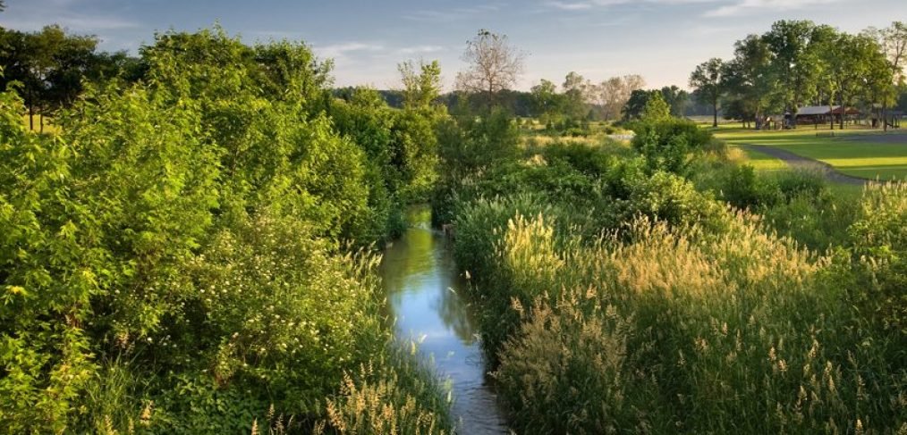Support Abhi's Riparian Buffer at Marsh Creek State Park campaign photo, 4 of 5