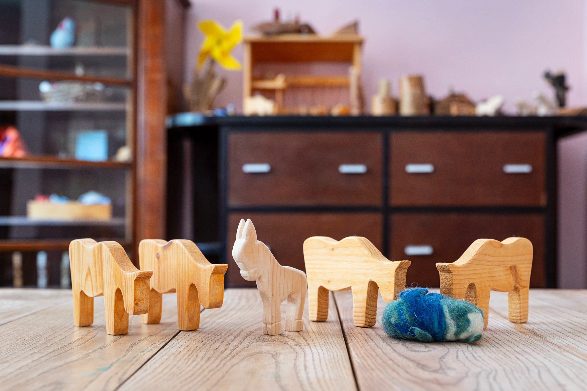 Foto della campagna Asilo Waldorf, una nuova casa per il futuro dei bambini, 4 di 8
