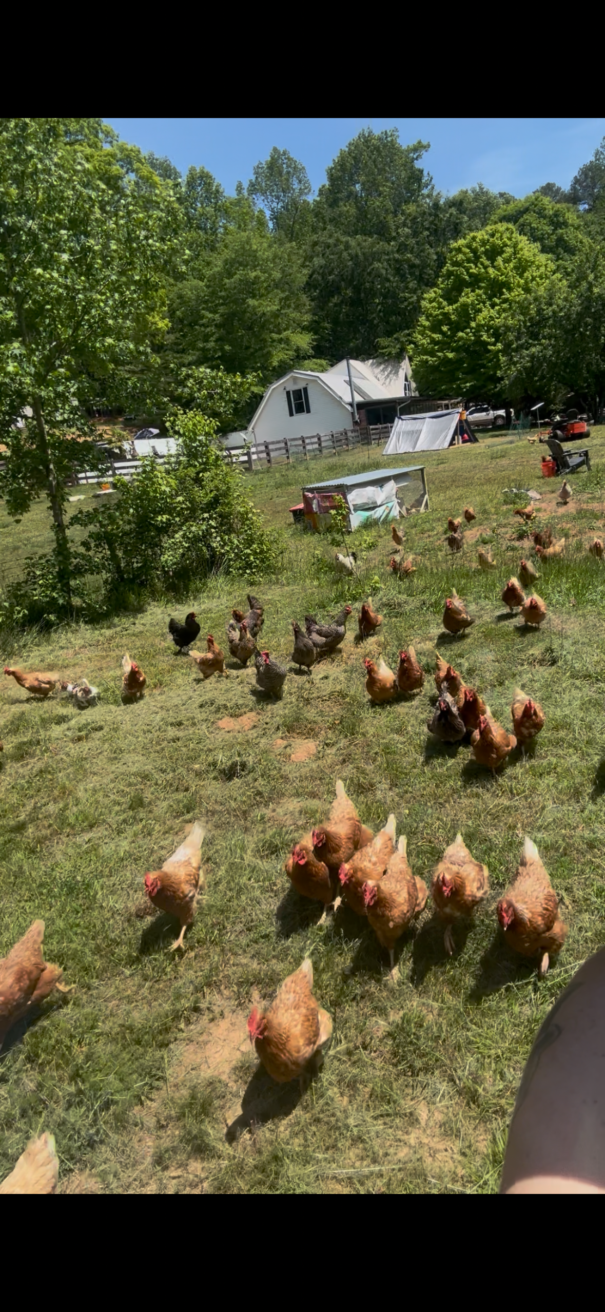 Help Love of the Land Farms recover campaign photo, 5 of 8