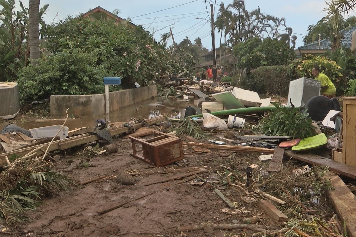 Help Kauai Friends After Hurricane Lowell campaign photo, 4 of 7