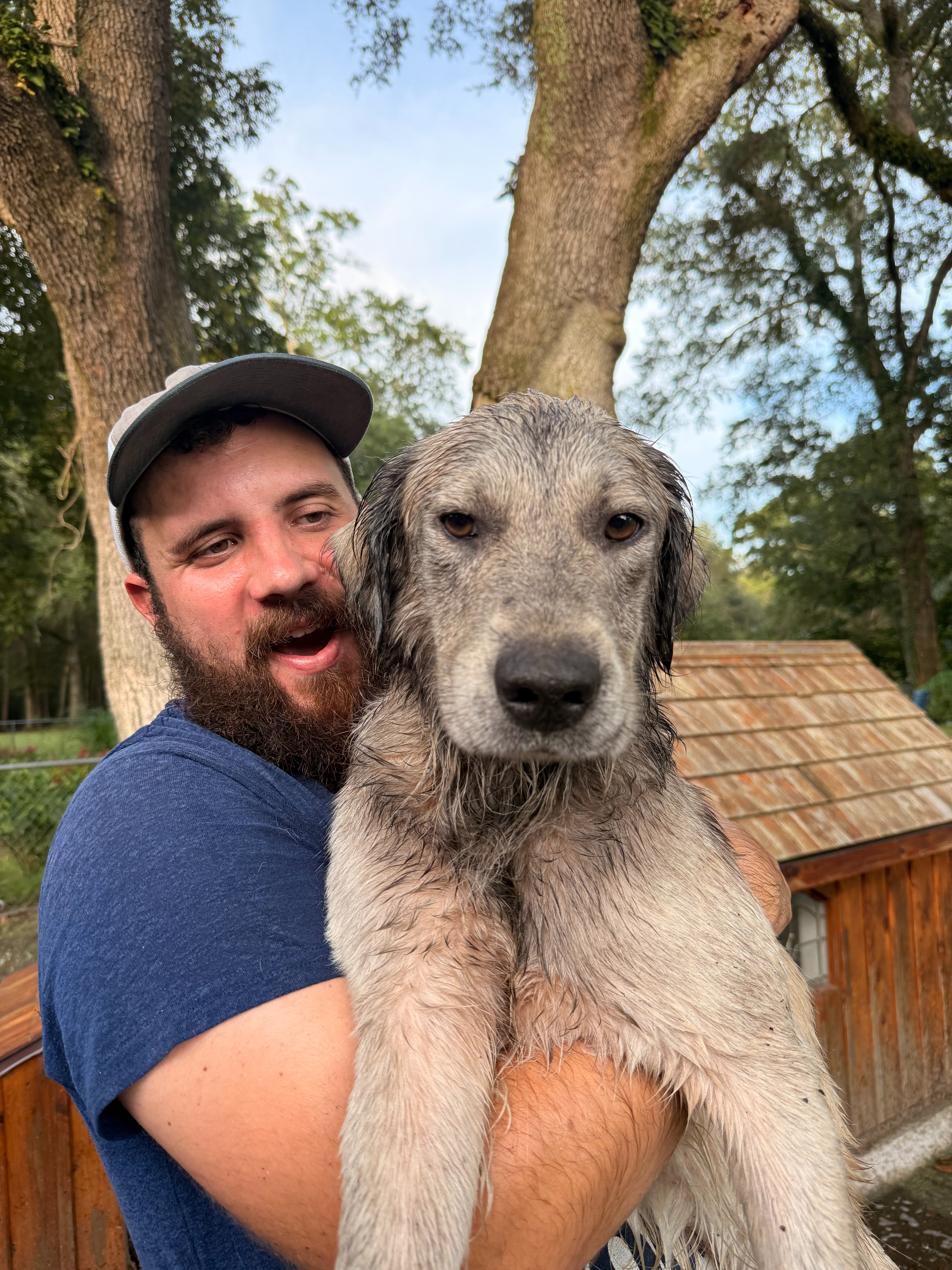 Help Us Turn This Stray Into a Spoiled Farm Dog campaign photo, 4 of 8