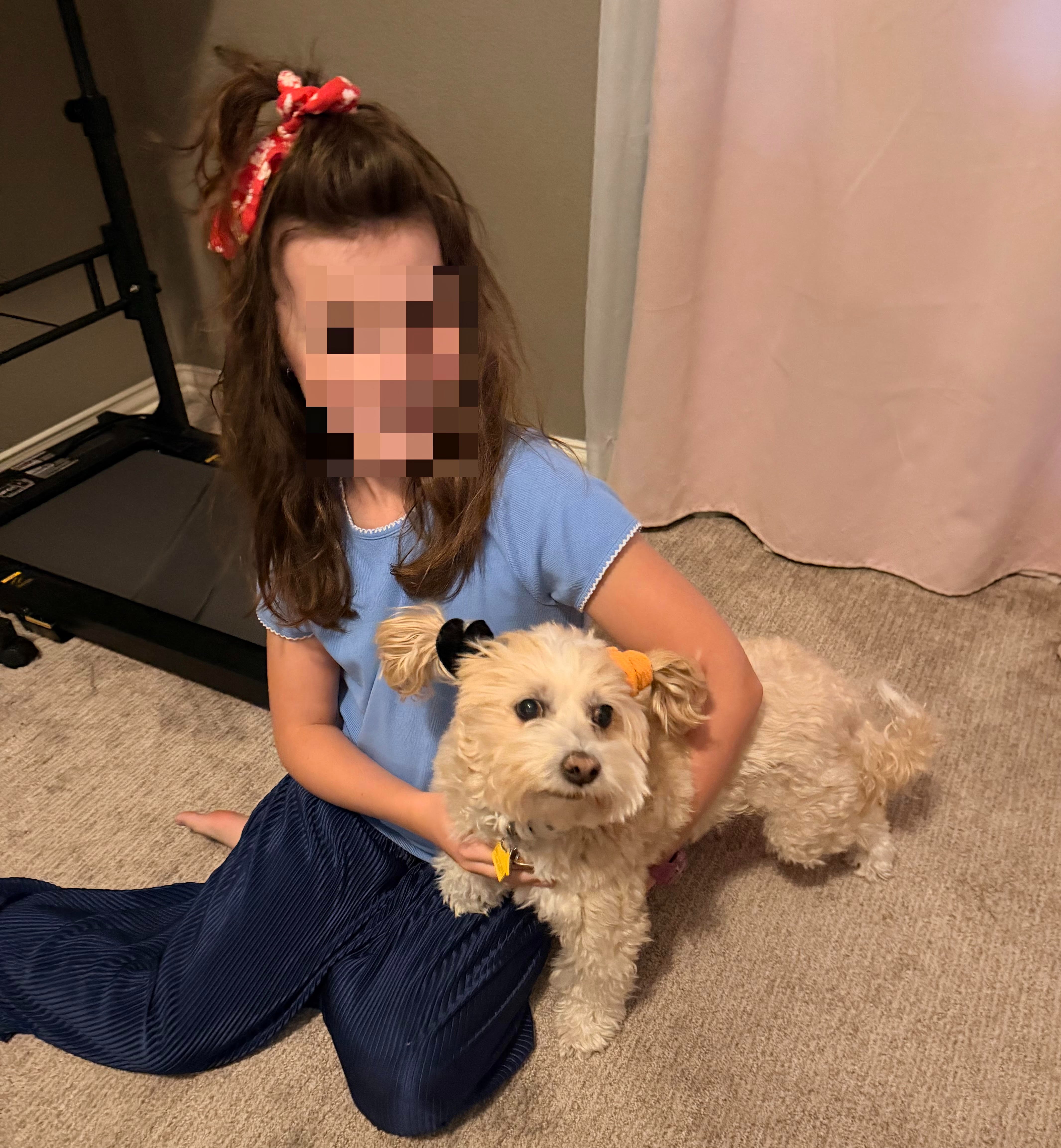 My Butt Is Trying to Bankrupt My Family by Waffles the Dog campaign photo, 4 of 8