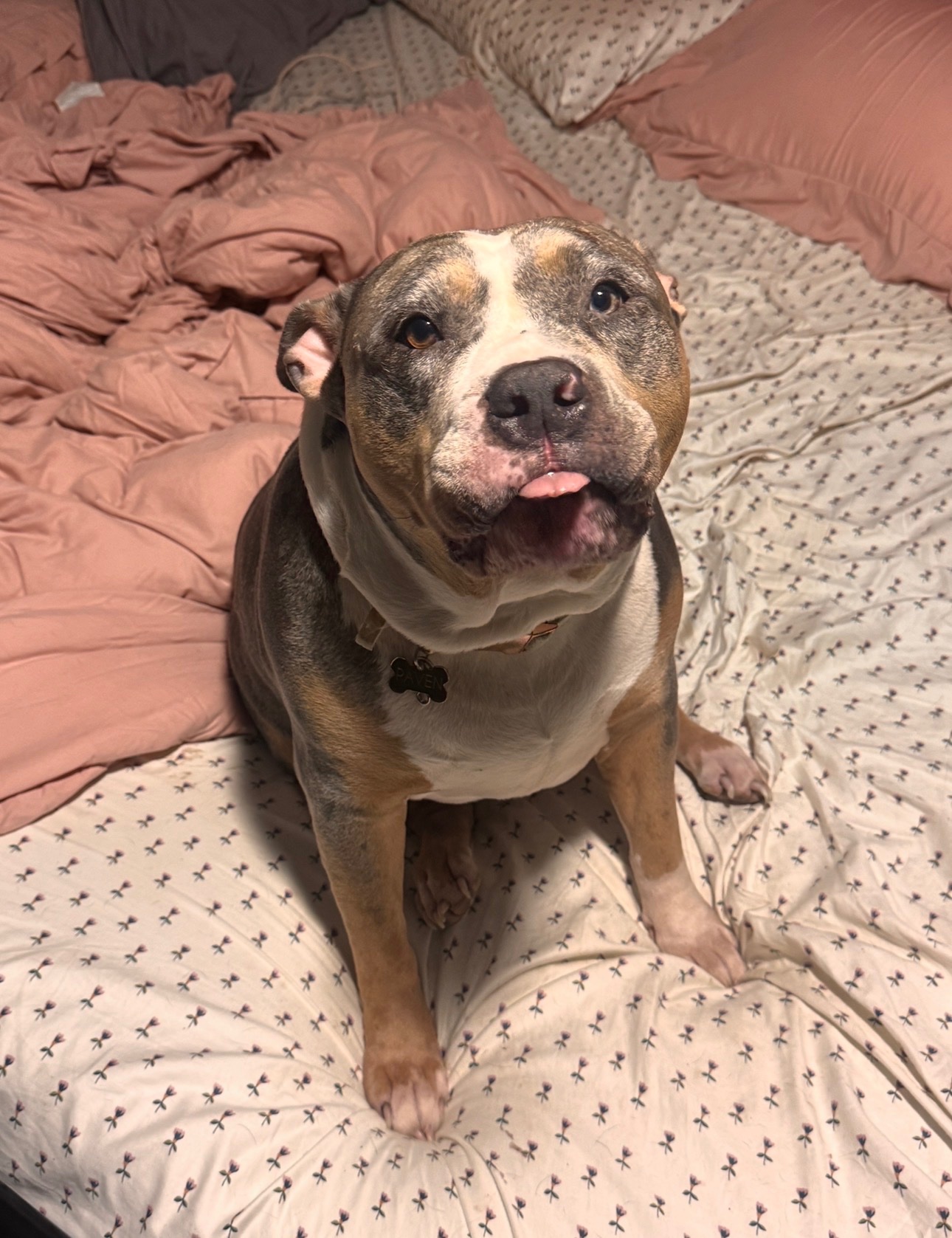 Donate to Raven’s Cancer Care campaign photo, 2 of 8
