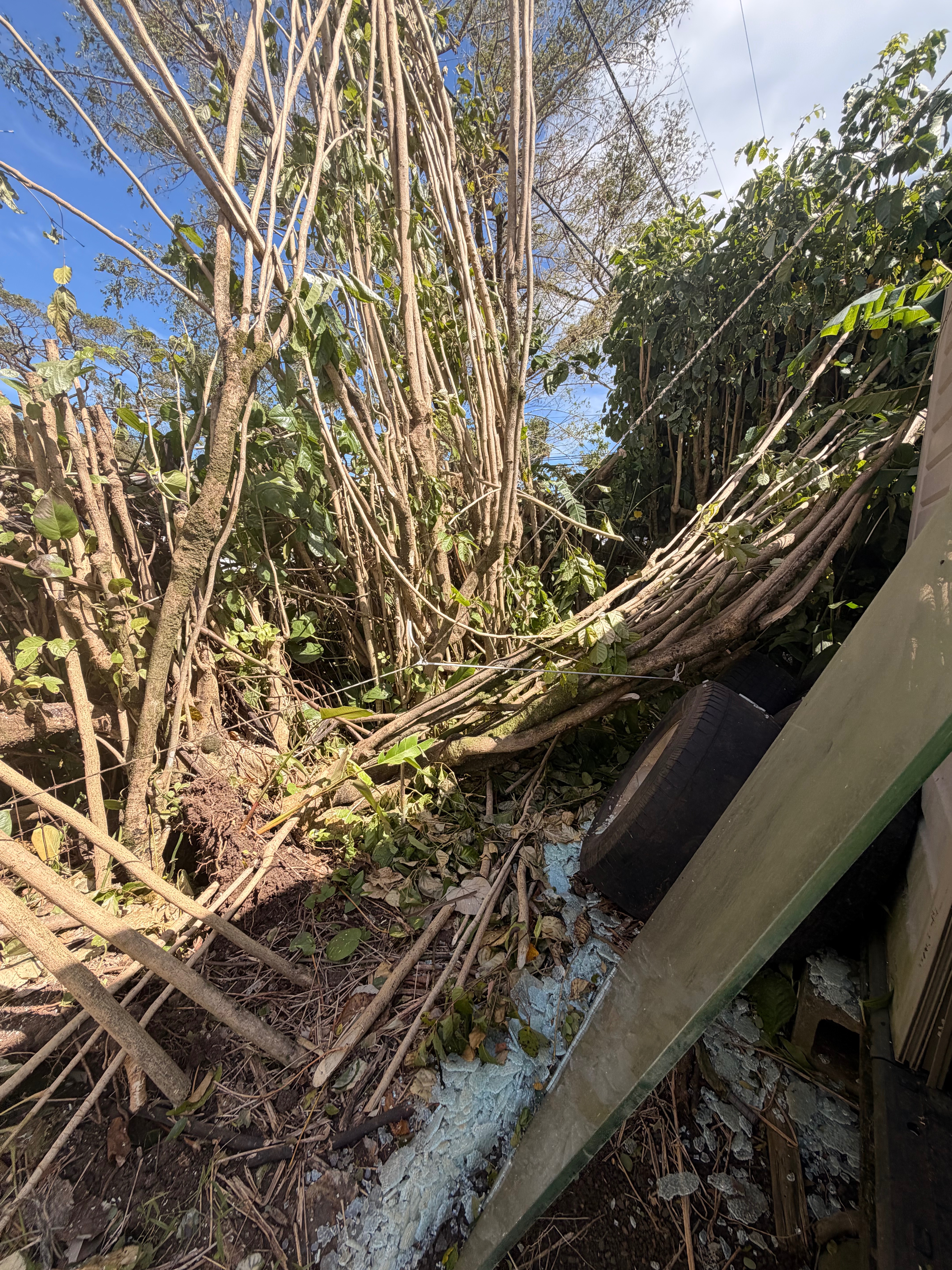 Help Us Rebuild & Help Our Community After Hurricane Lowell campaign photo, 9 of 10