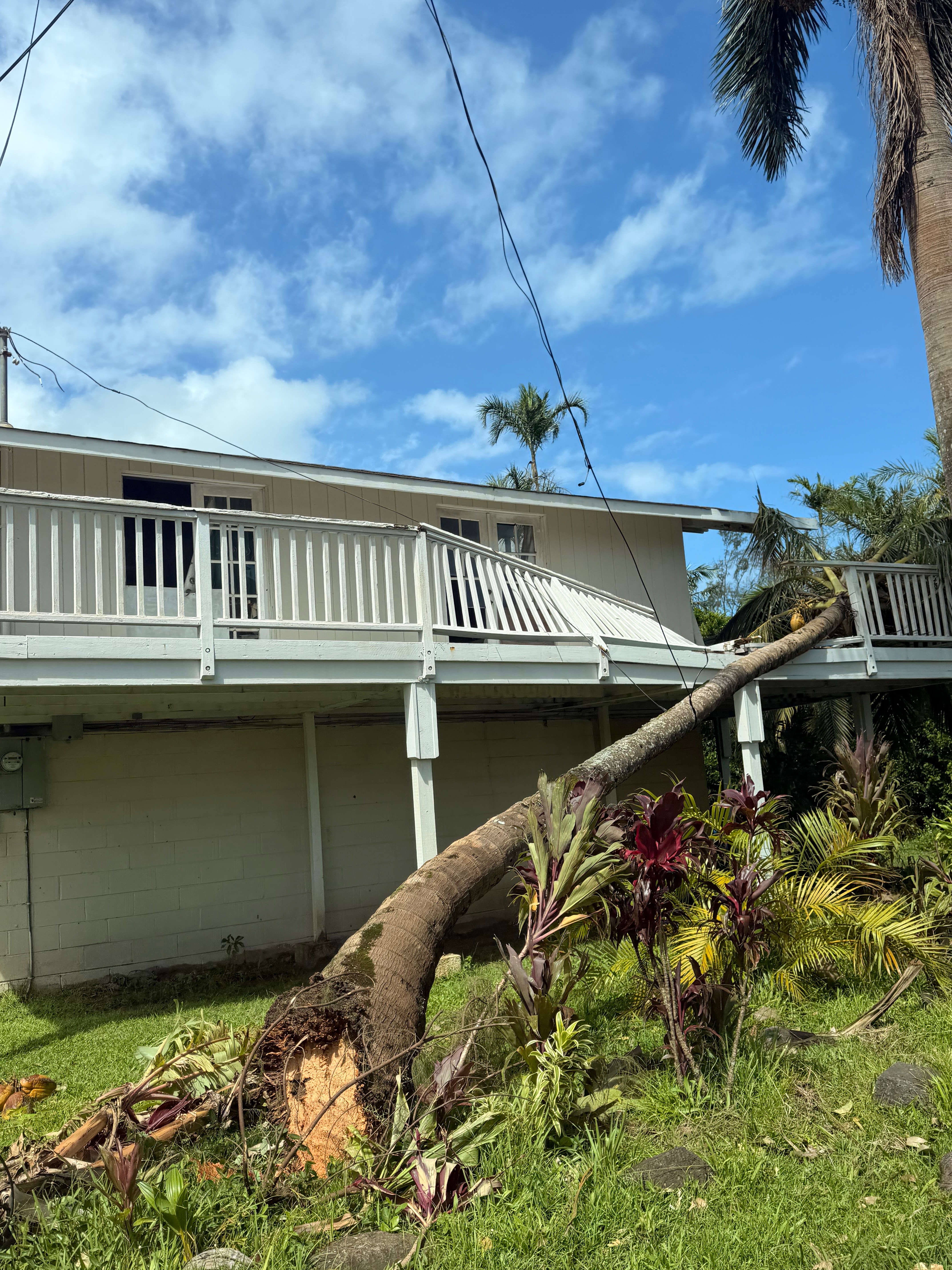 Help Us Rebuild & Help Our Community After Hurricane Lowell campaign photo, 4 of 10