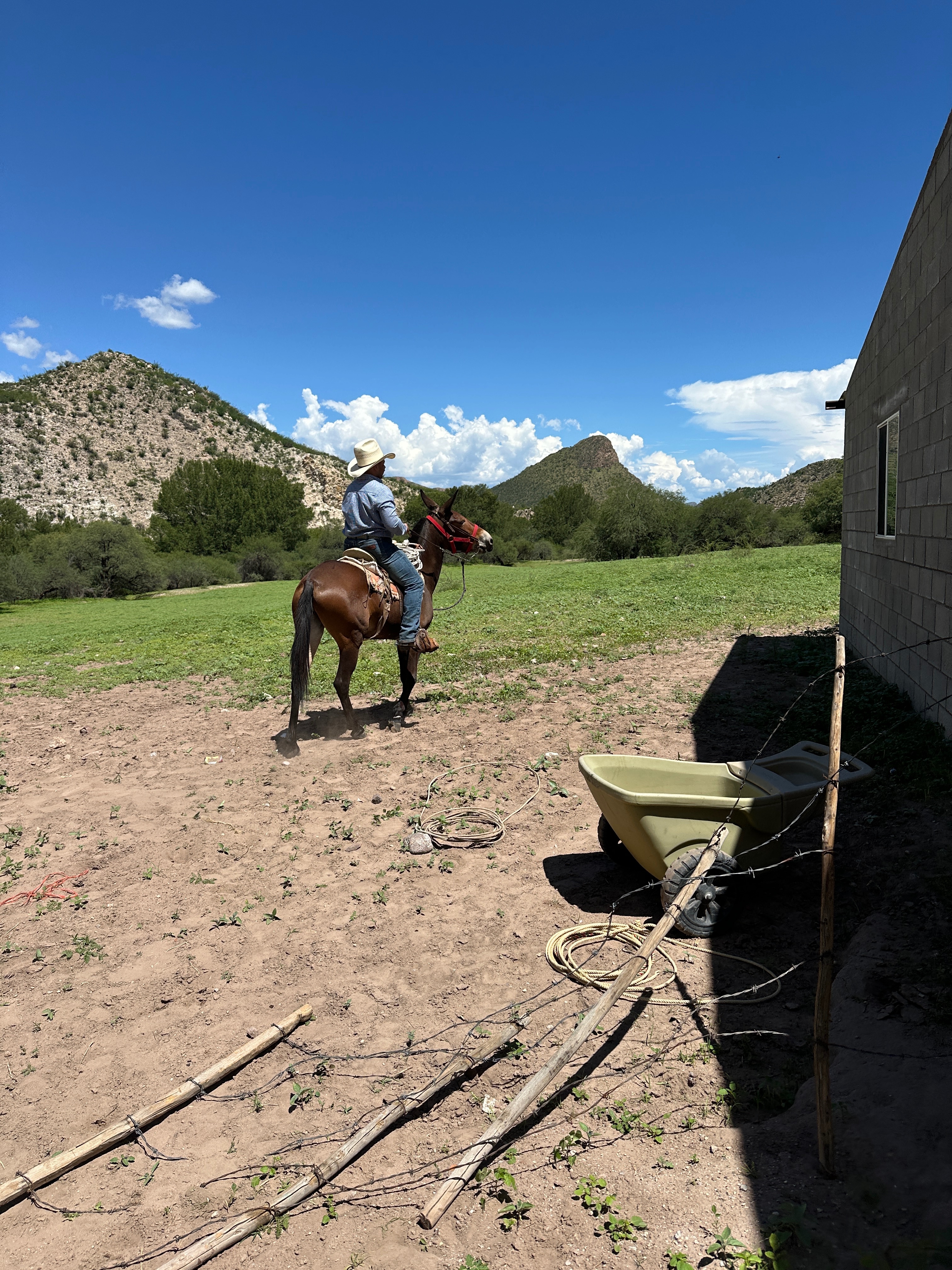 Bryan Trujillo local Farrier victim of a shooting campaign photo, 4 of 8