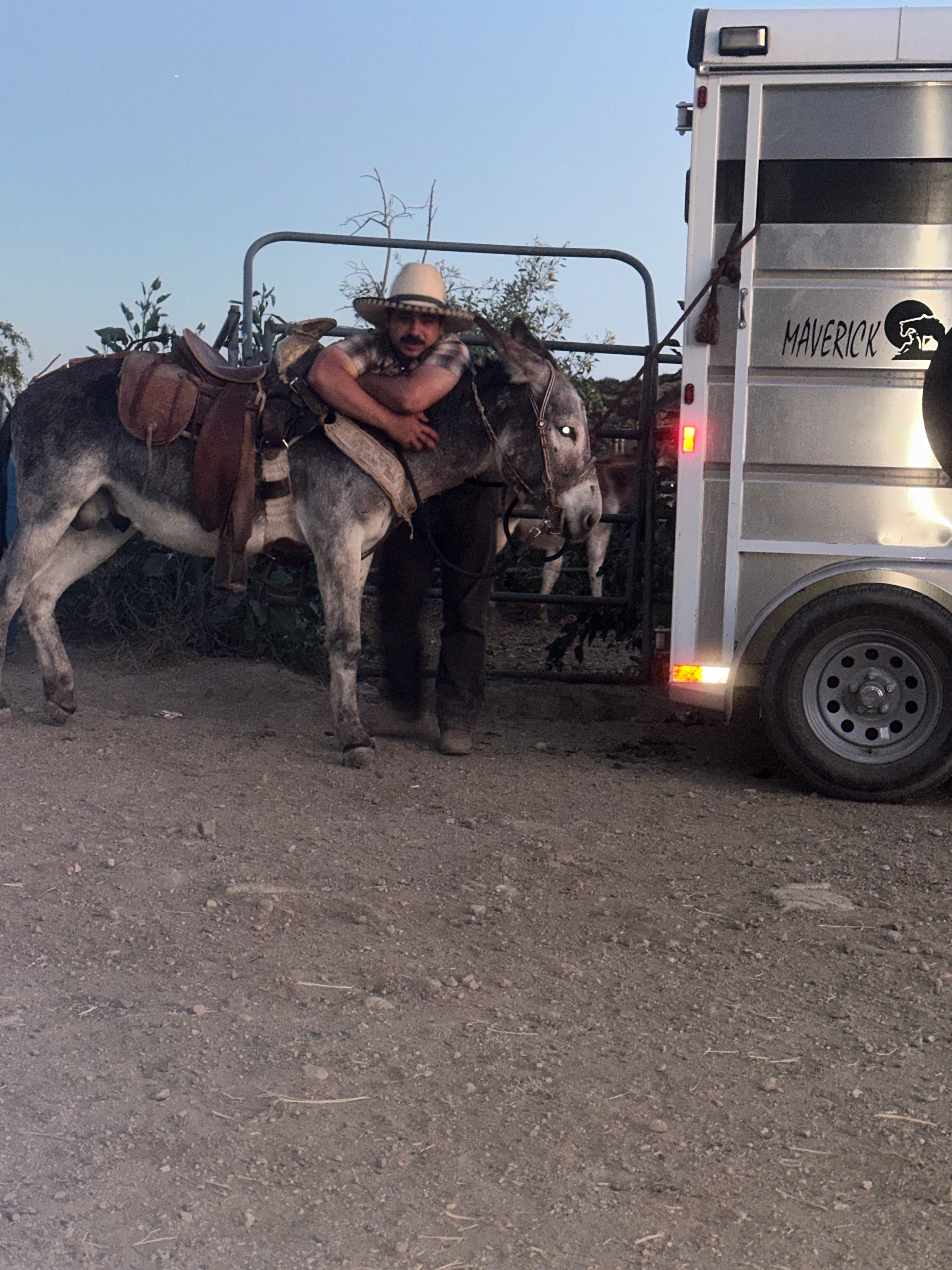 Bryan Trujillo local Farrier victim of a shooting campaign photo, 6 of 8