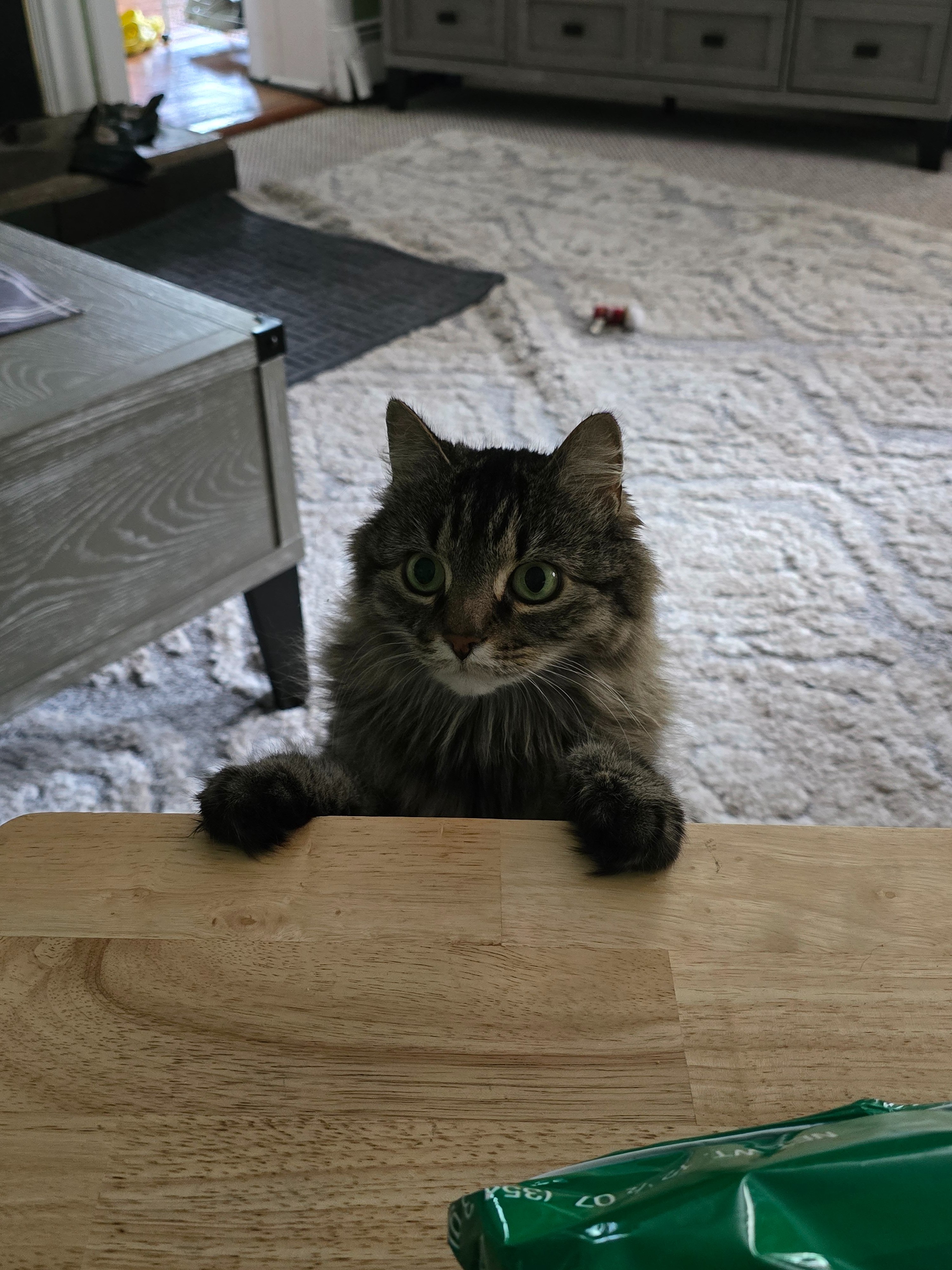 Athena’s Care and Recovery campaign photo, 4 of 8