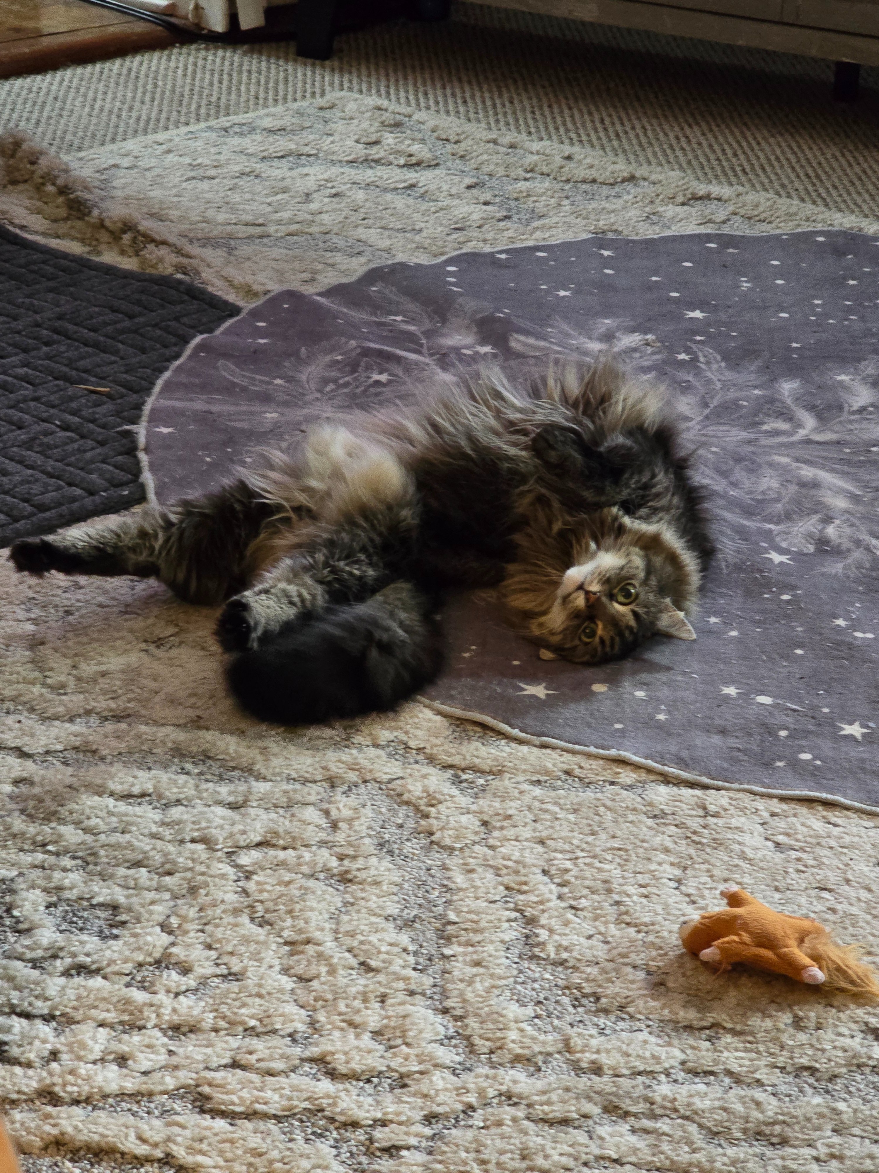 Athena’s Care and Recovery campaign photo, 5 of 8