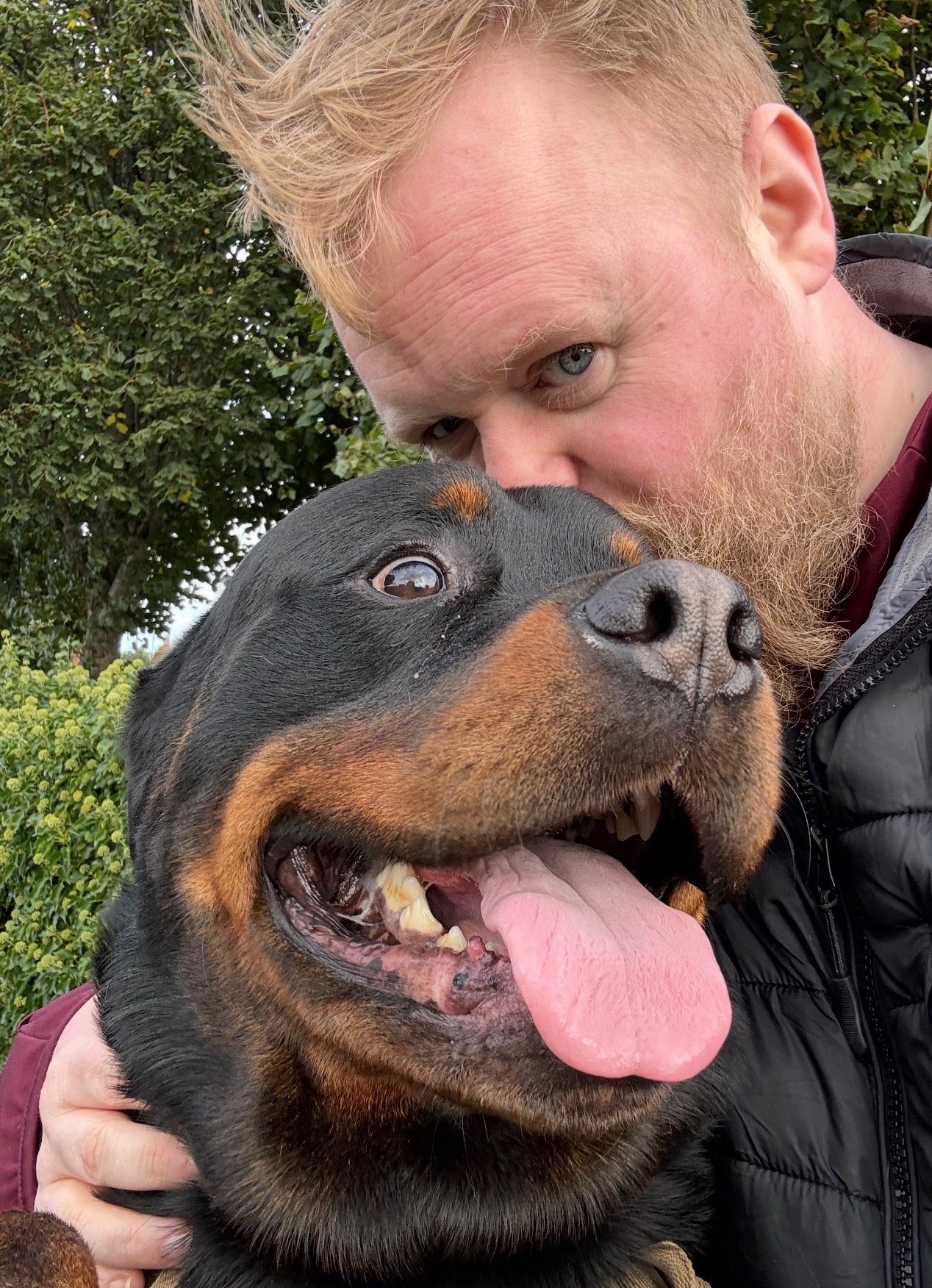 Help Layman and Rolo Find a Safe Home campaign photo, 2 of 4