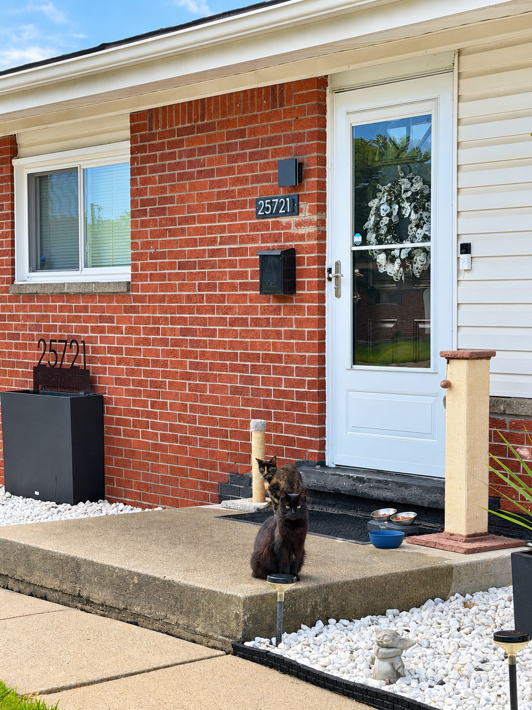 Help Our Outdoor Cats Survive a Michigan Winter campaign photo, 6 of 8