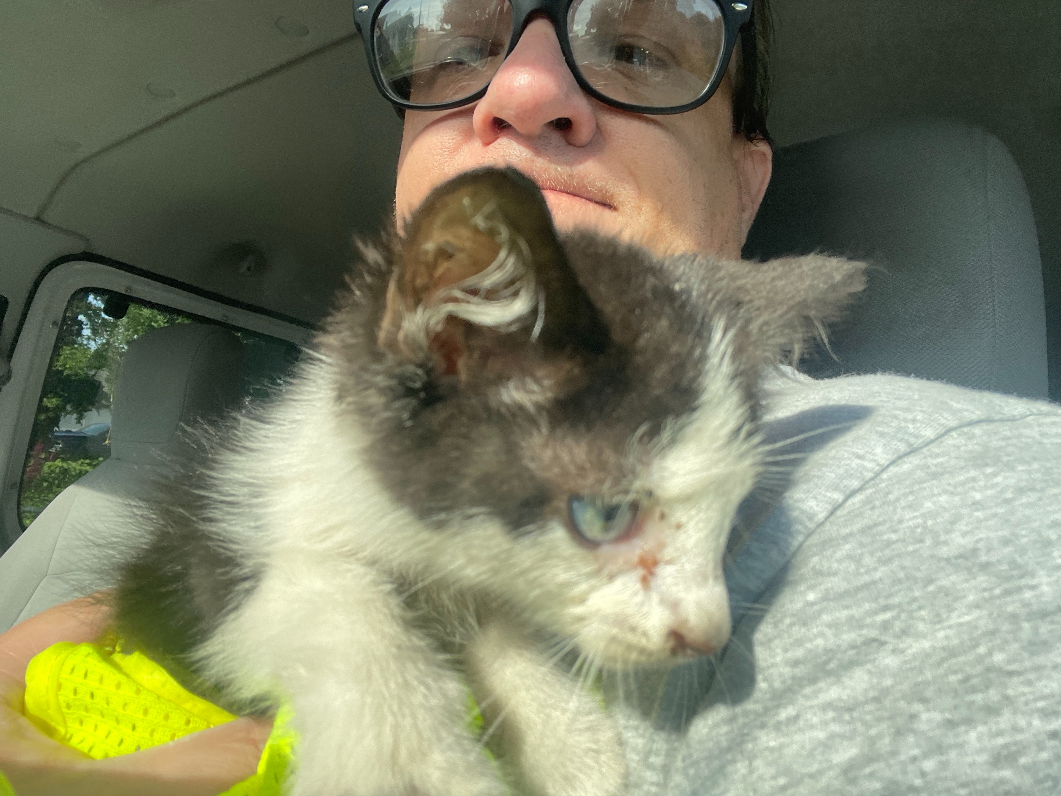 Support Spade’s Urgent Vet Care campaign photo, 5 of 6