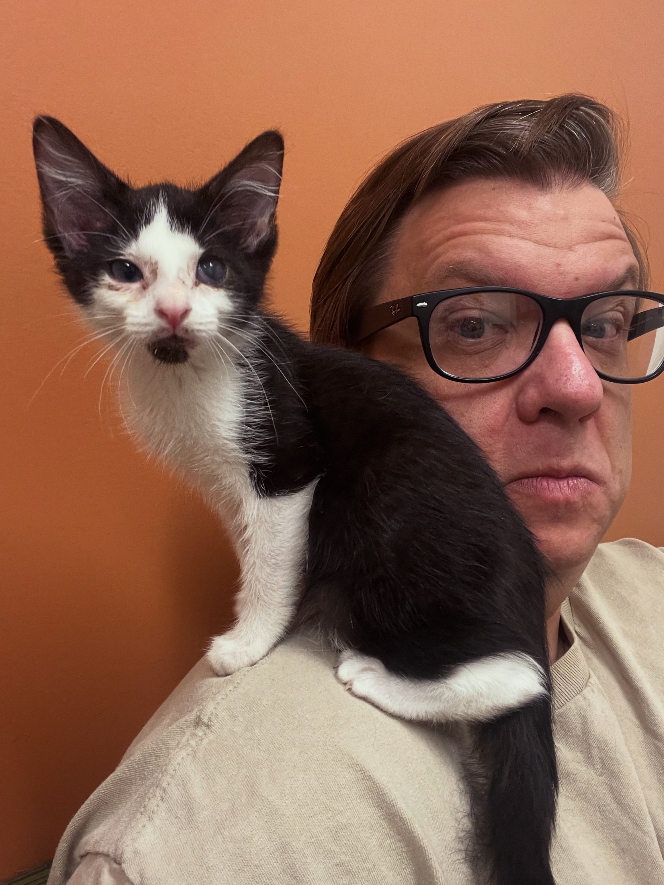 Support Spade’s Urgent Vet Care campaign photo, 4 of 6