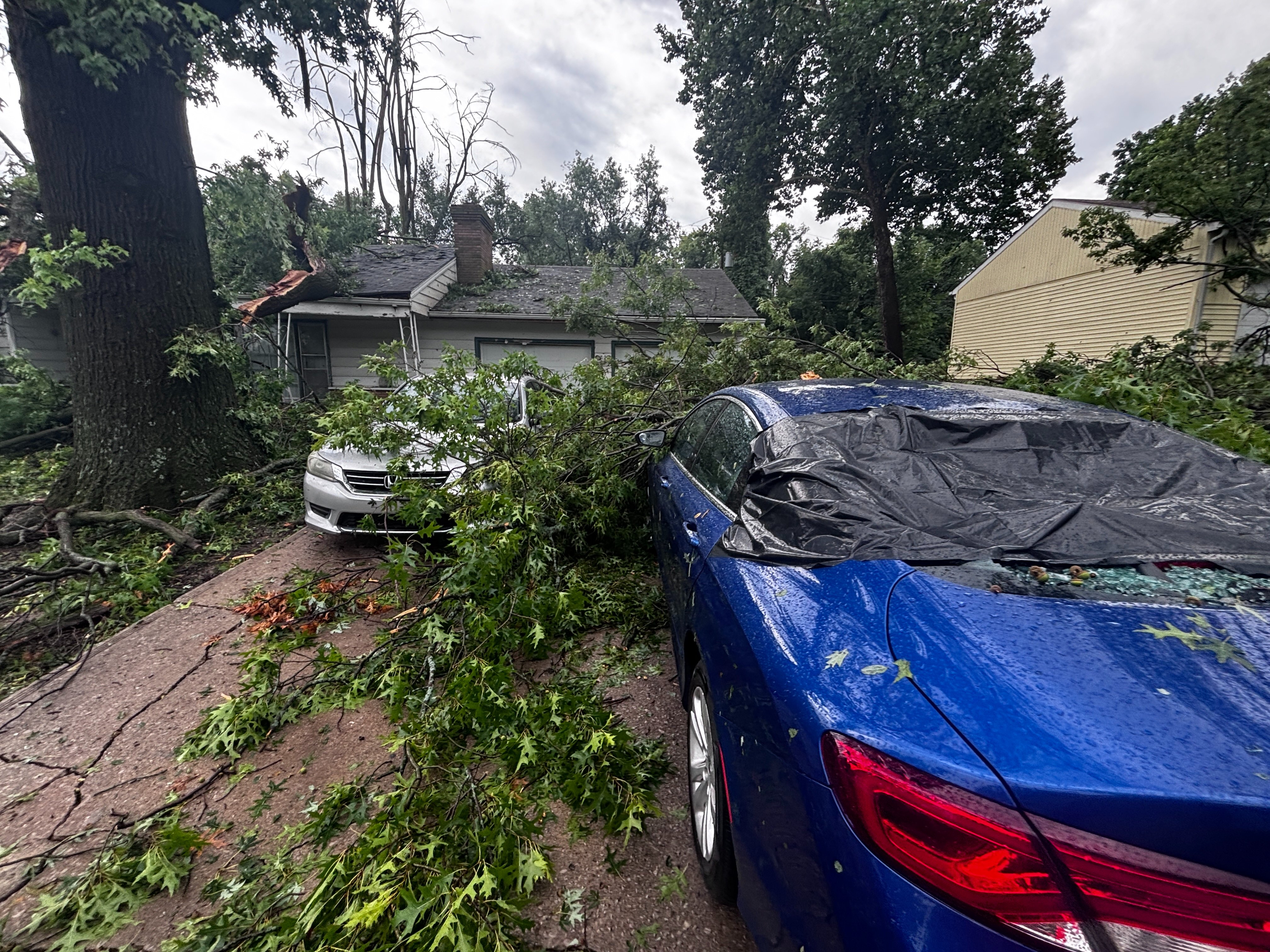 Help Lindora Lee Repair Her Storm-Damaged Home campaign photo, 4 of 8