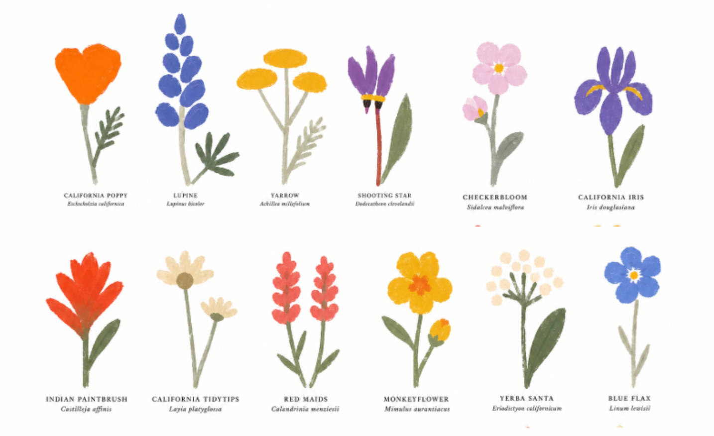 Support Montclair Blooms: Art and Nature Unite campaign photo, 4 of 5