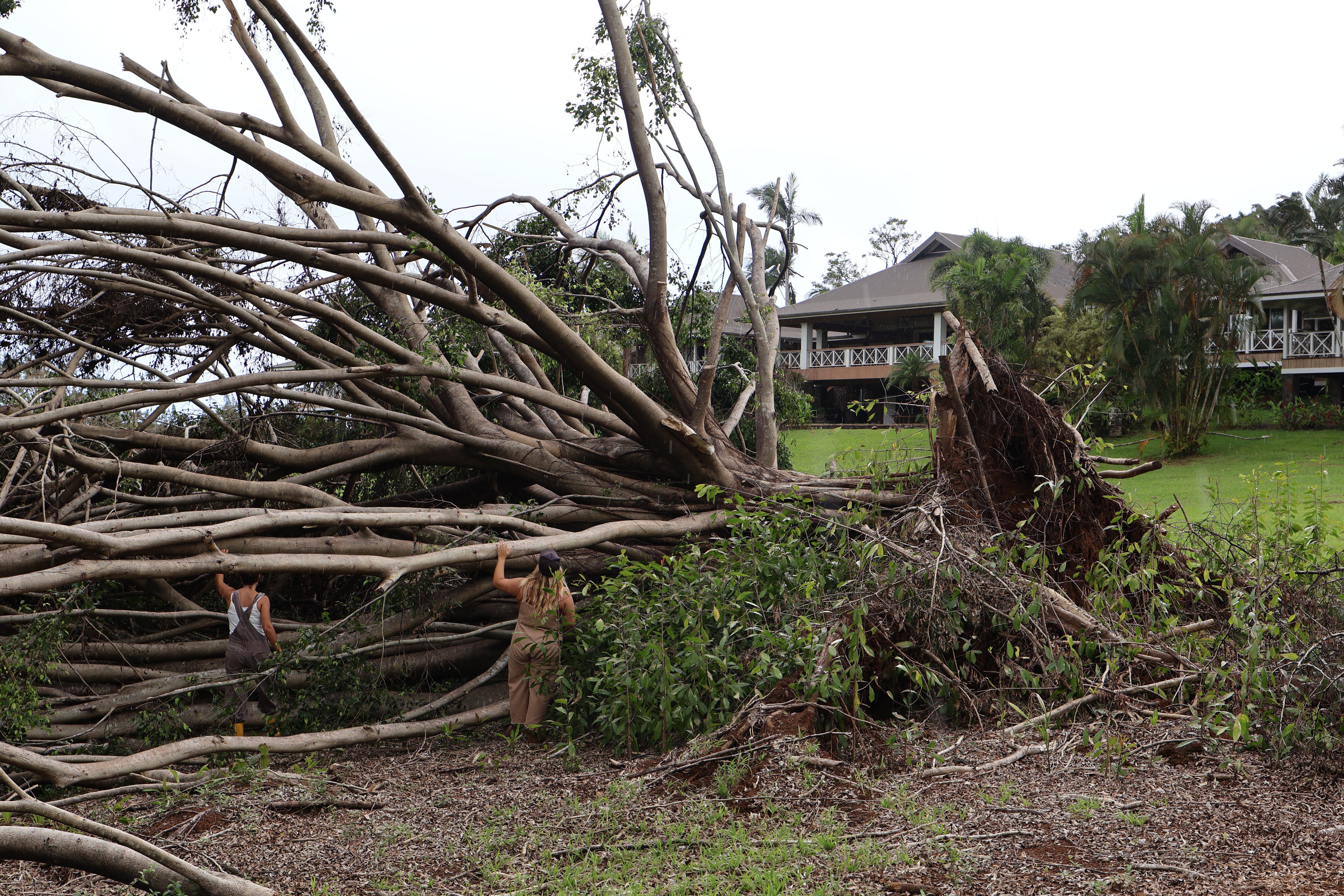 Support Makanalani Kids in Recovery from Hurricane Lowell campaign photo, 7 of 8