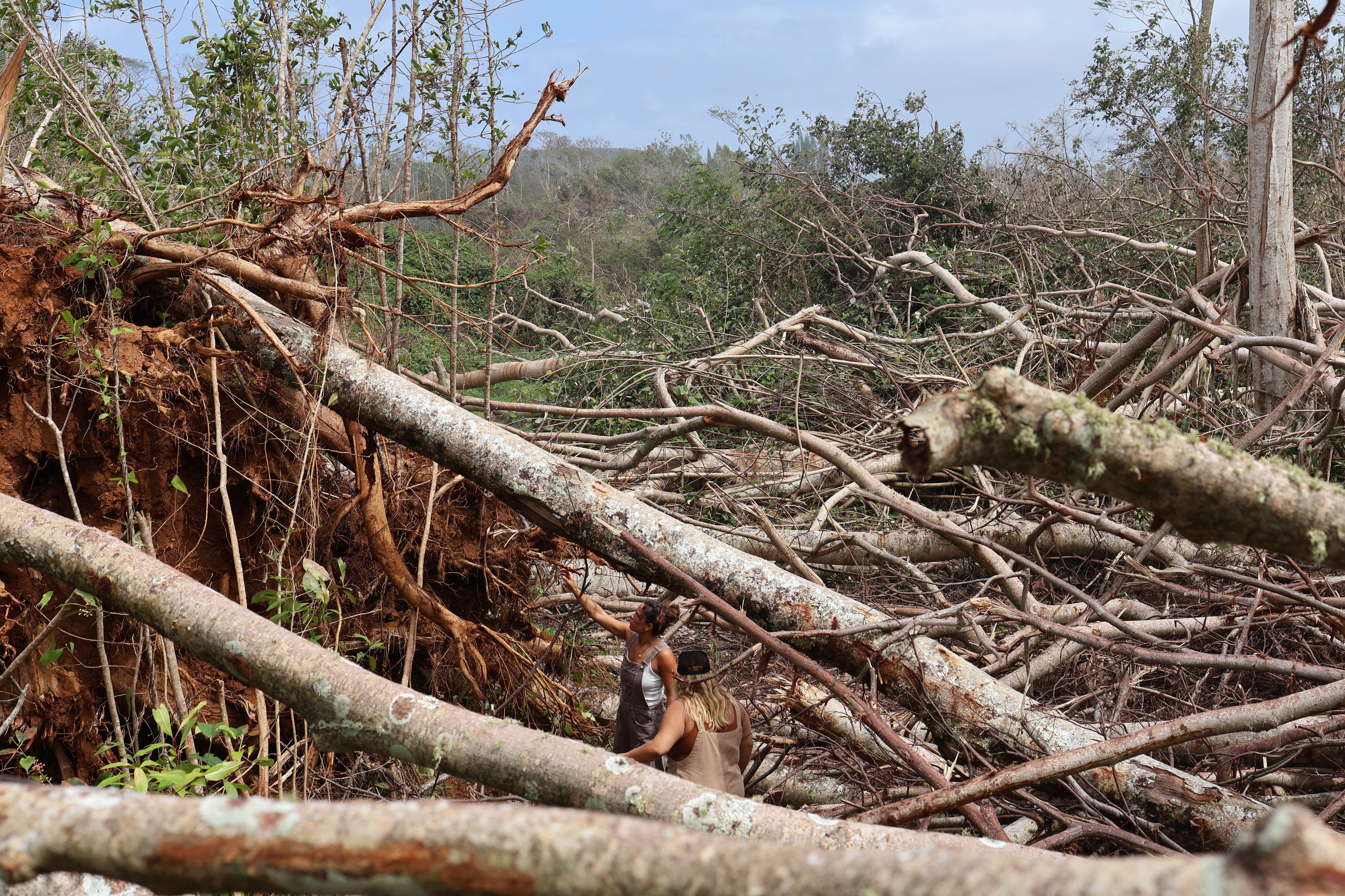 Support Makanalani Kids in Recovery from Hurricane Lowell campaign photo, 2 of 8