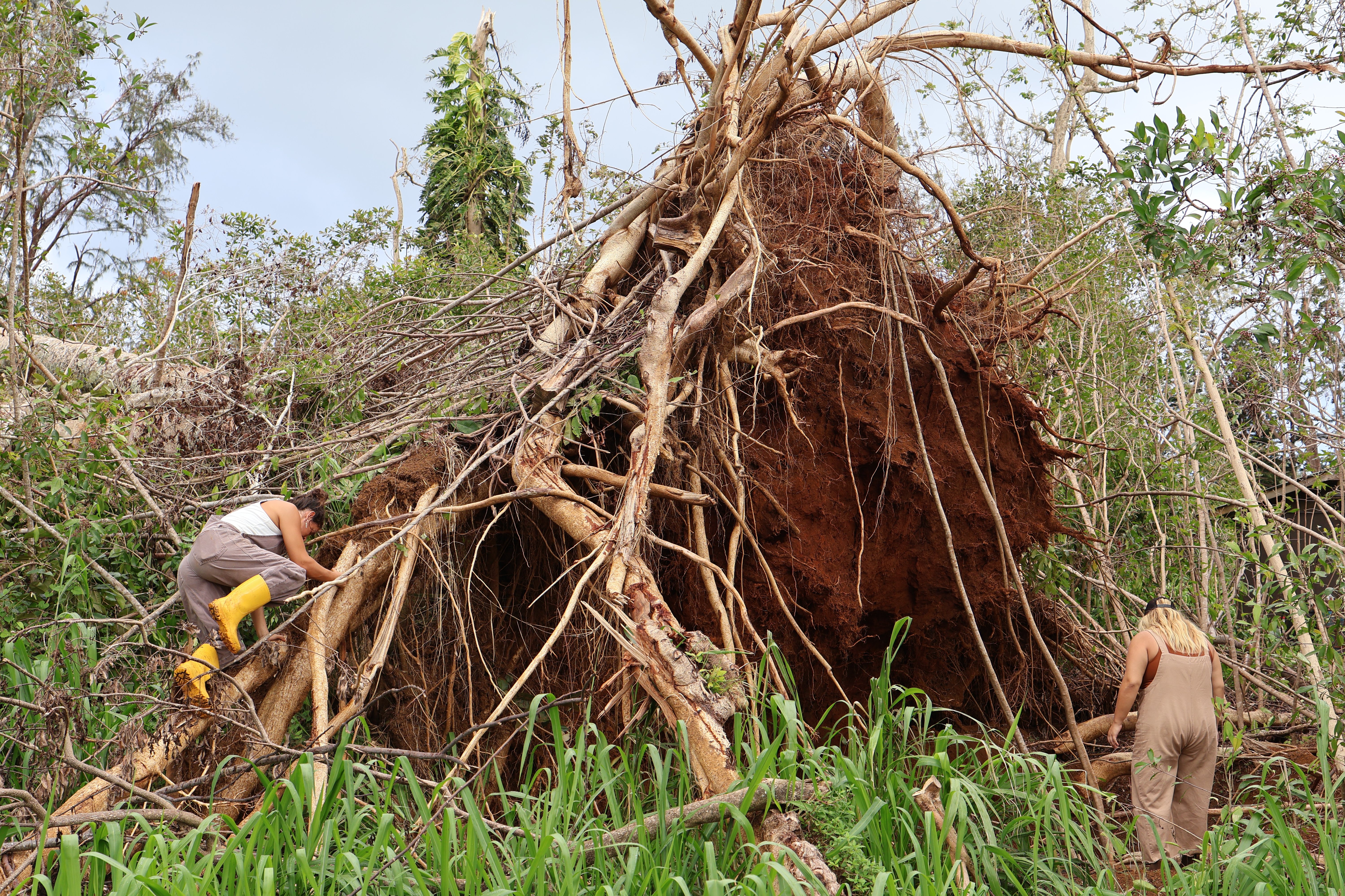 Support Makanalani Kids in Recovery from Hurricane Lowell campaign photo, 4 of 8