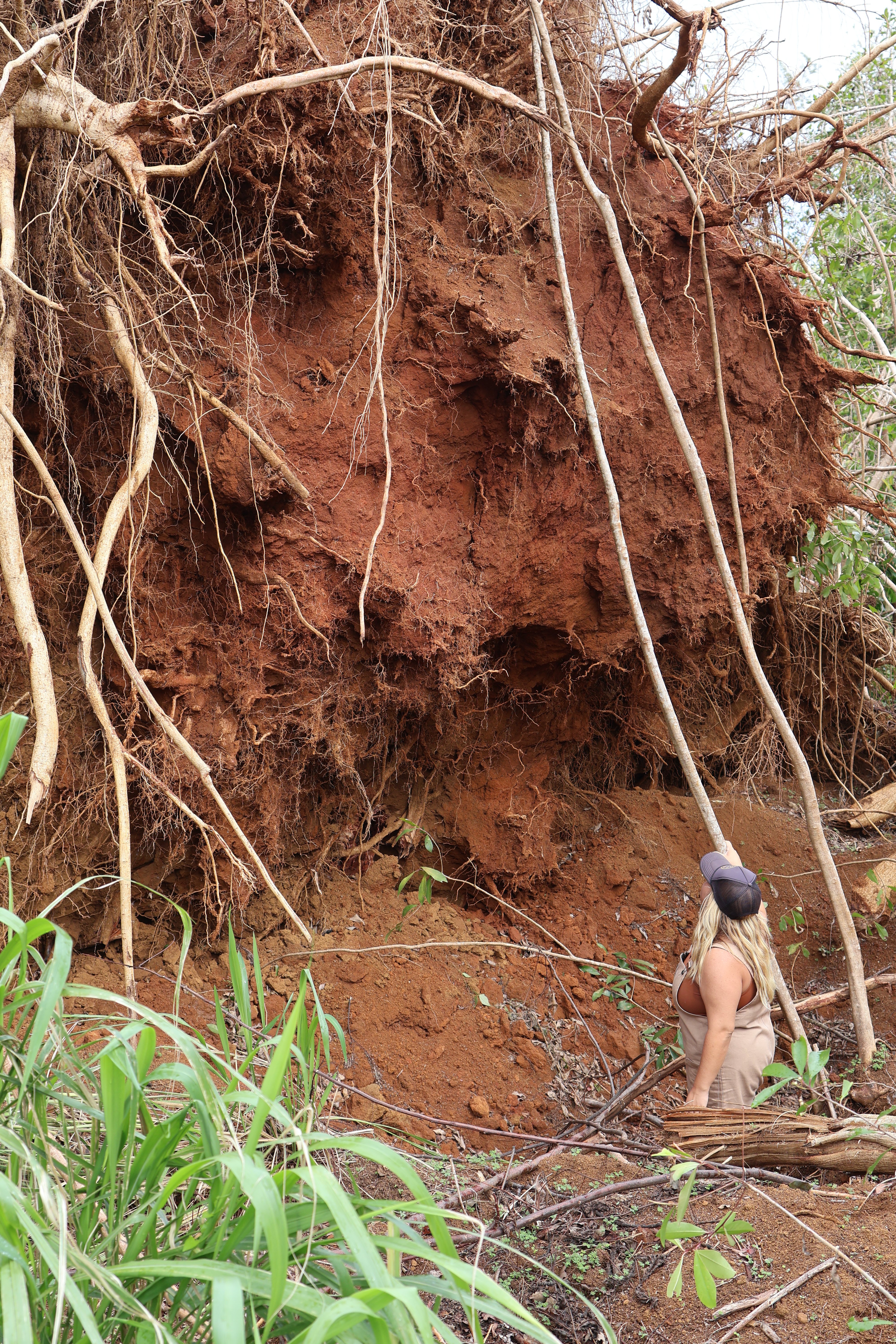 Support Makanalani Kids in Recovery from Hurricane Lowell campaign photo, 5 of 8