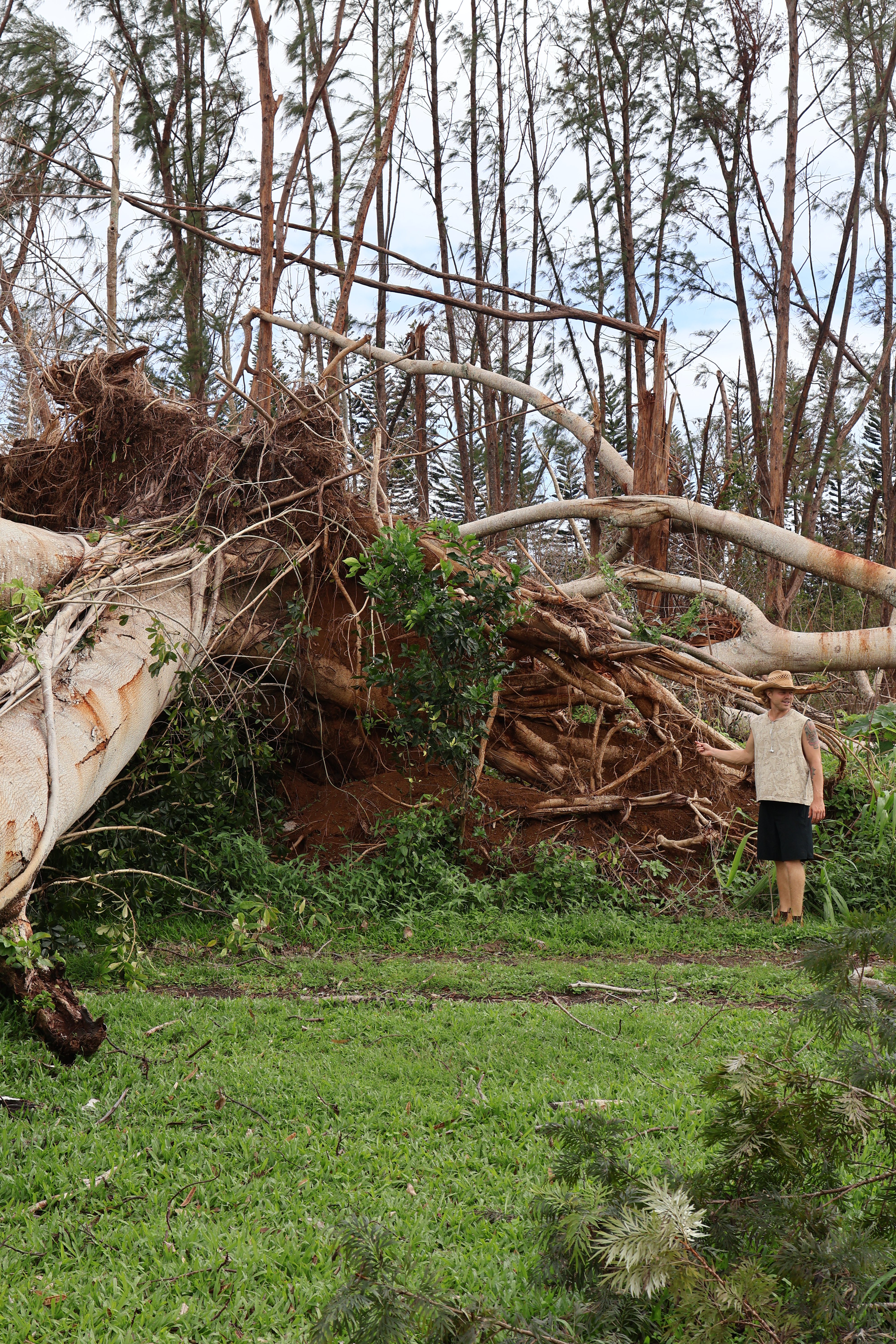 Support Makanalani Kids in Recovery from Hurricane Lowell campaign photo, 6 of 8