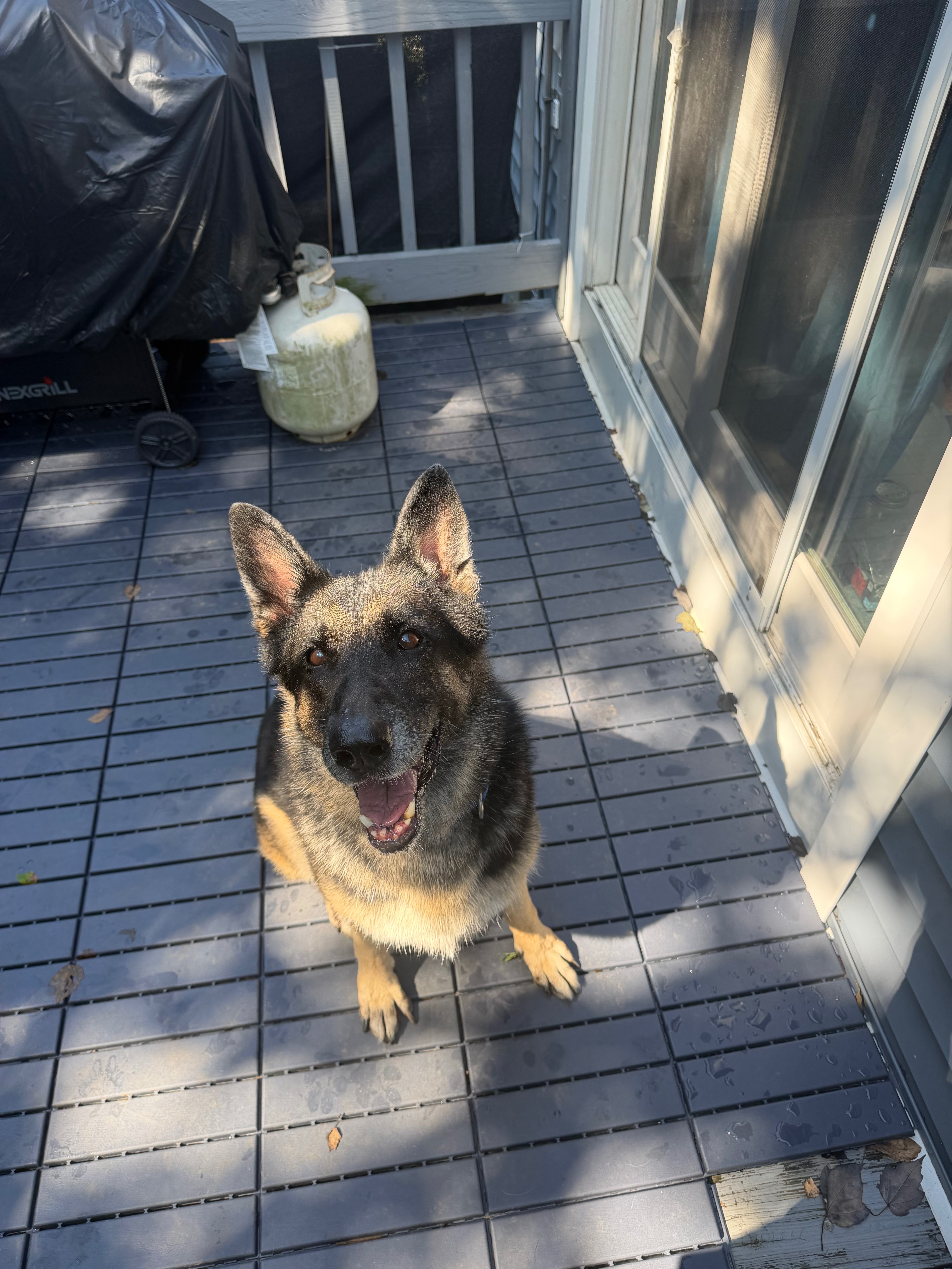 Help Kimba Enjoy a Comfortable Retirement campaign photo, 2 of 8