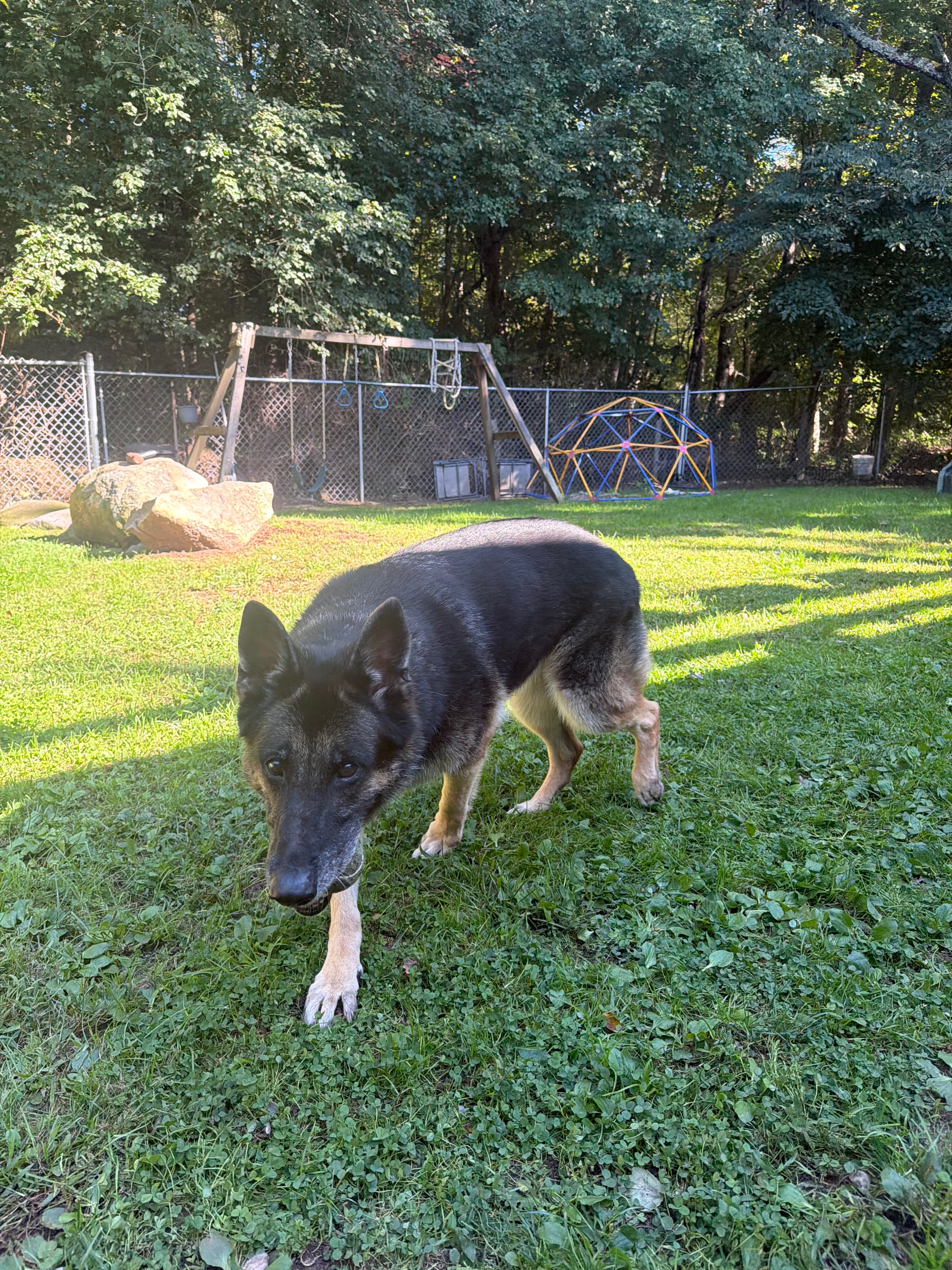 Help Kimba Enjoy a Comfortable Retirement campaign photo, 4 of 8