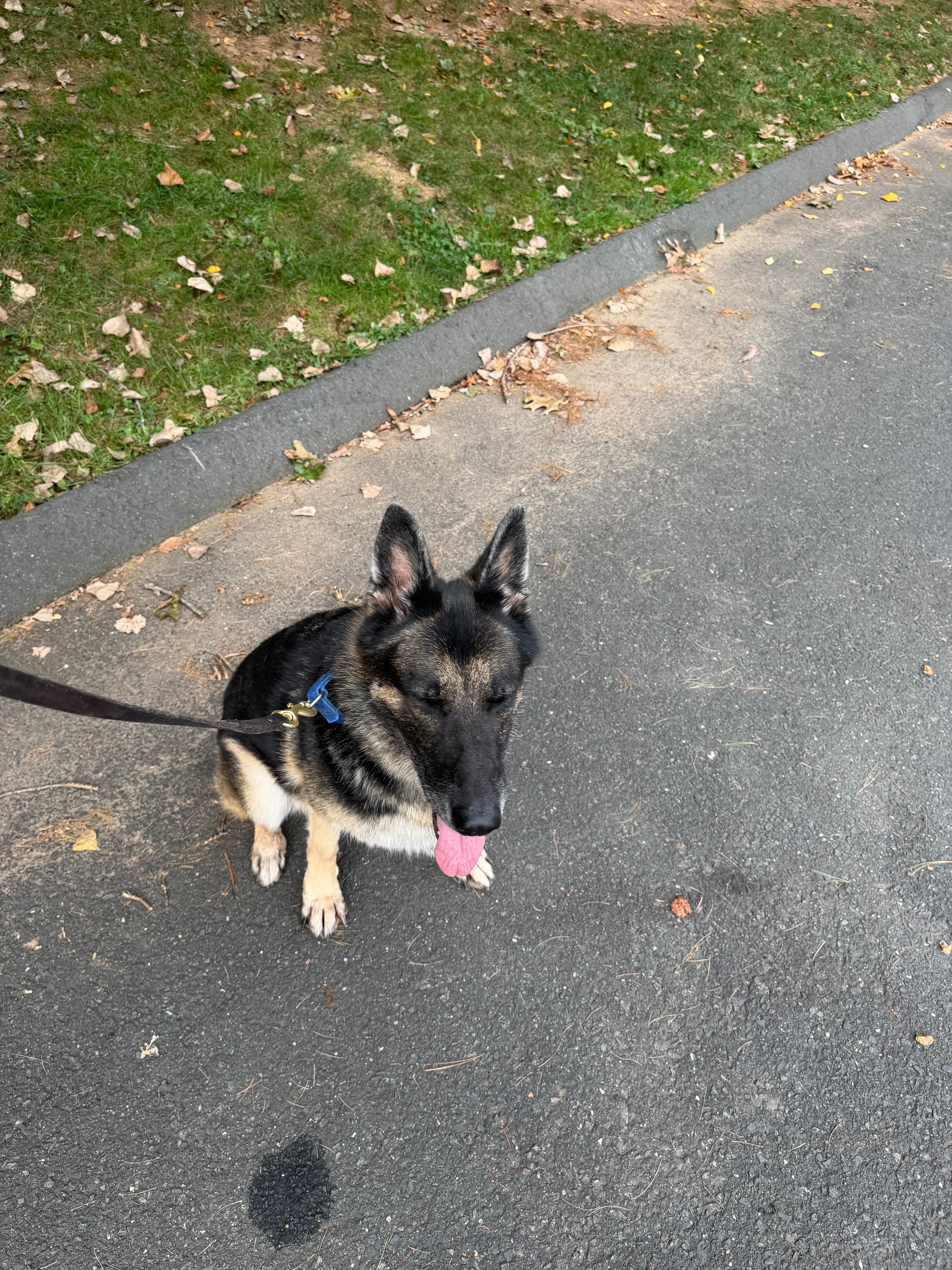Help Kimba Enjoy a Comfortable Retirement campaign photo, 6 of 8
