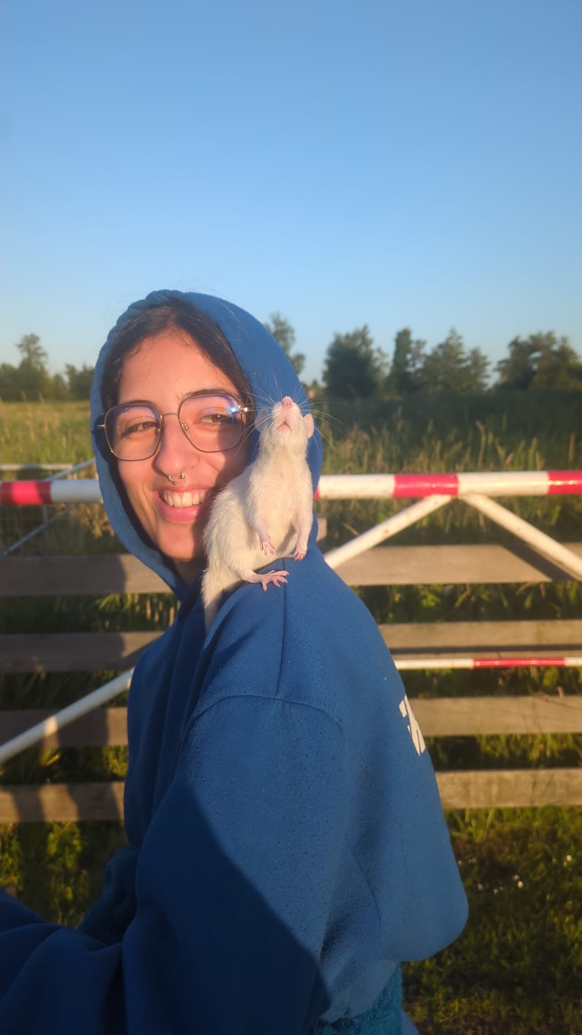 Help Our Rescued Lab Rats Get Urgent Veterinary Care campaign photo, 6 of 7