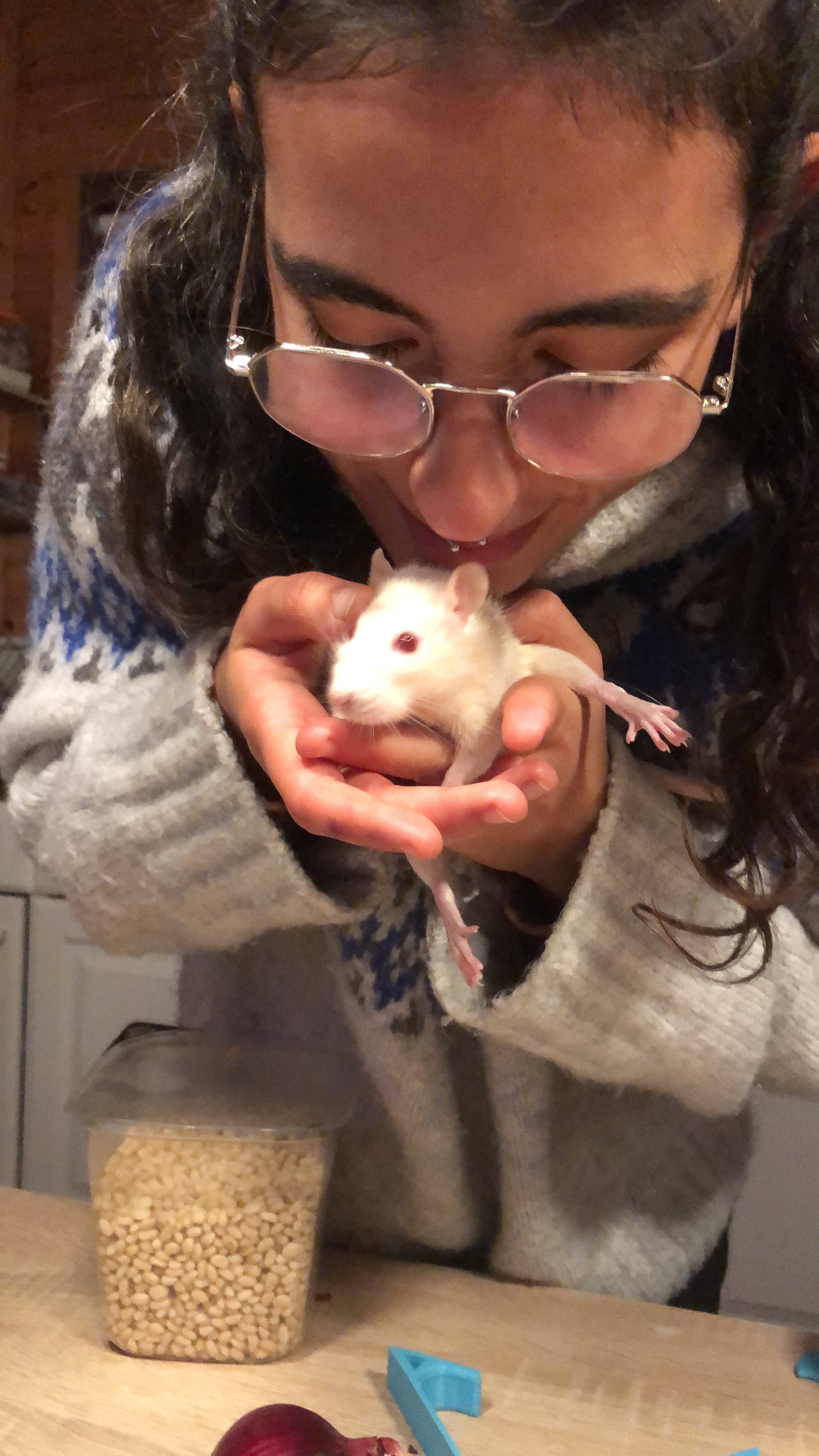 Help Our Rescued Lab Rats Get Urgent Veterinary Care campaign photo, 2 of 7
